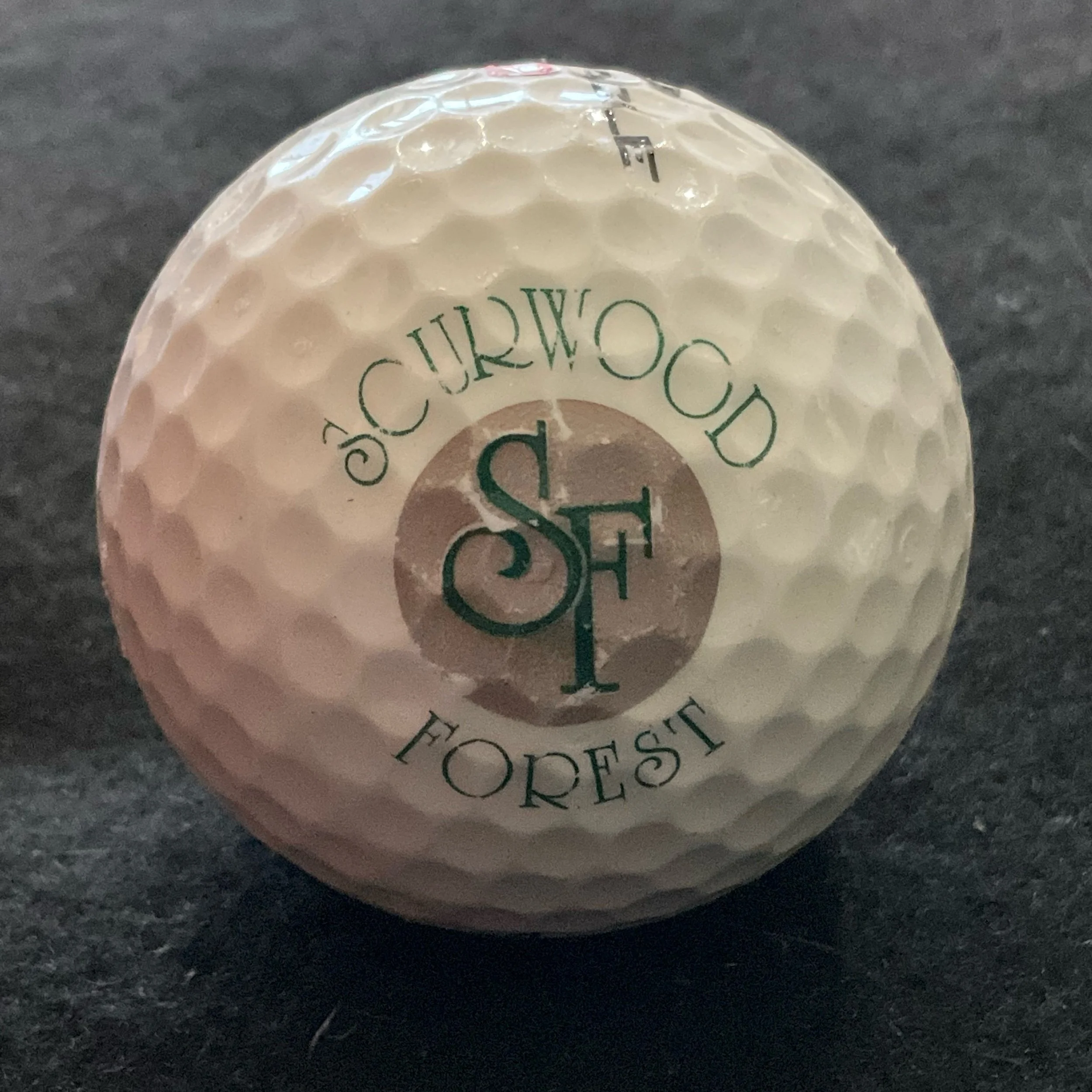 Sourwood Forest Golf Club