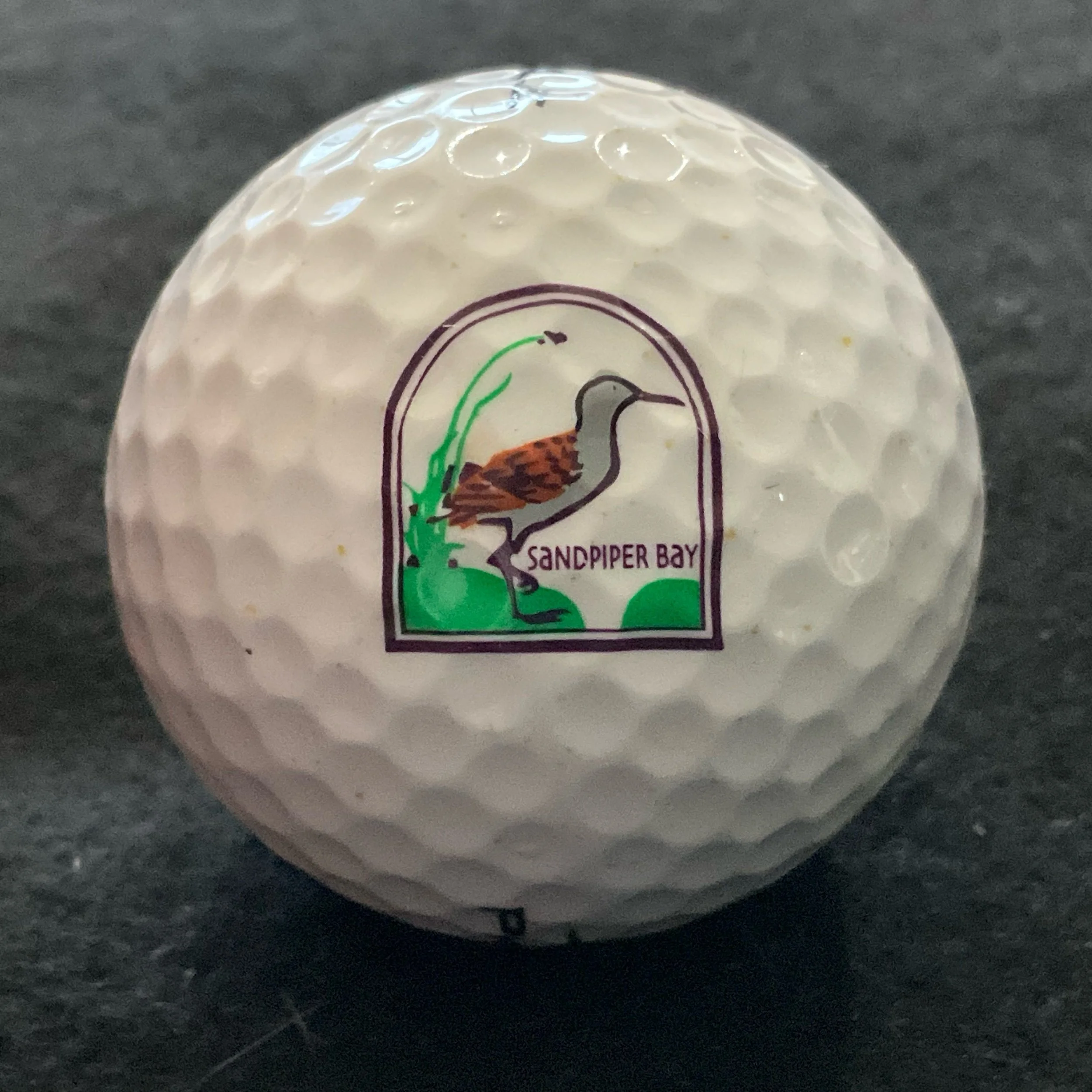 Sandpiper Bay Golf and Country Club