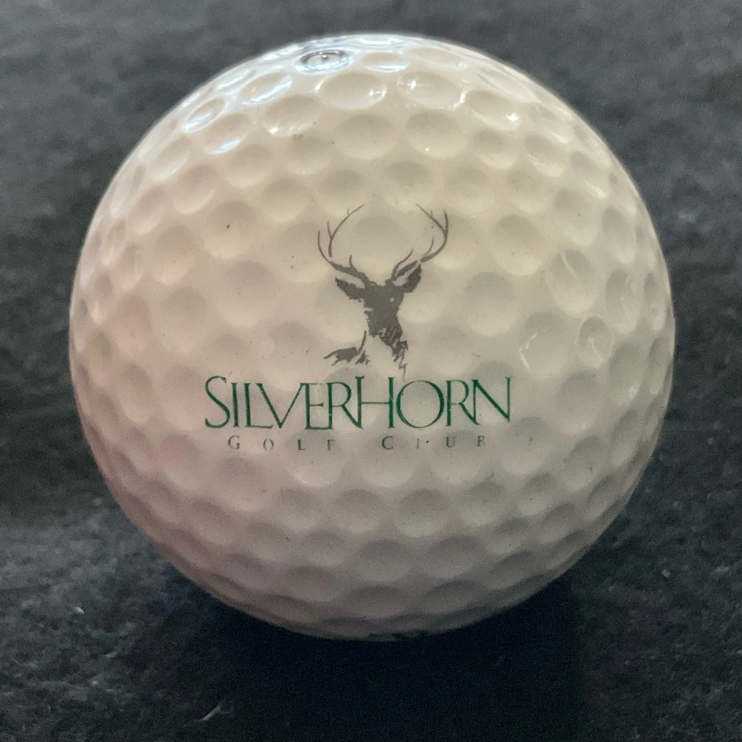 Silverhorn Golf Club of Texas
