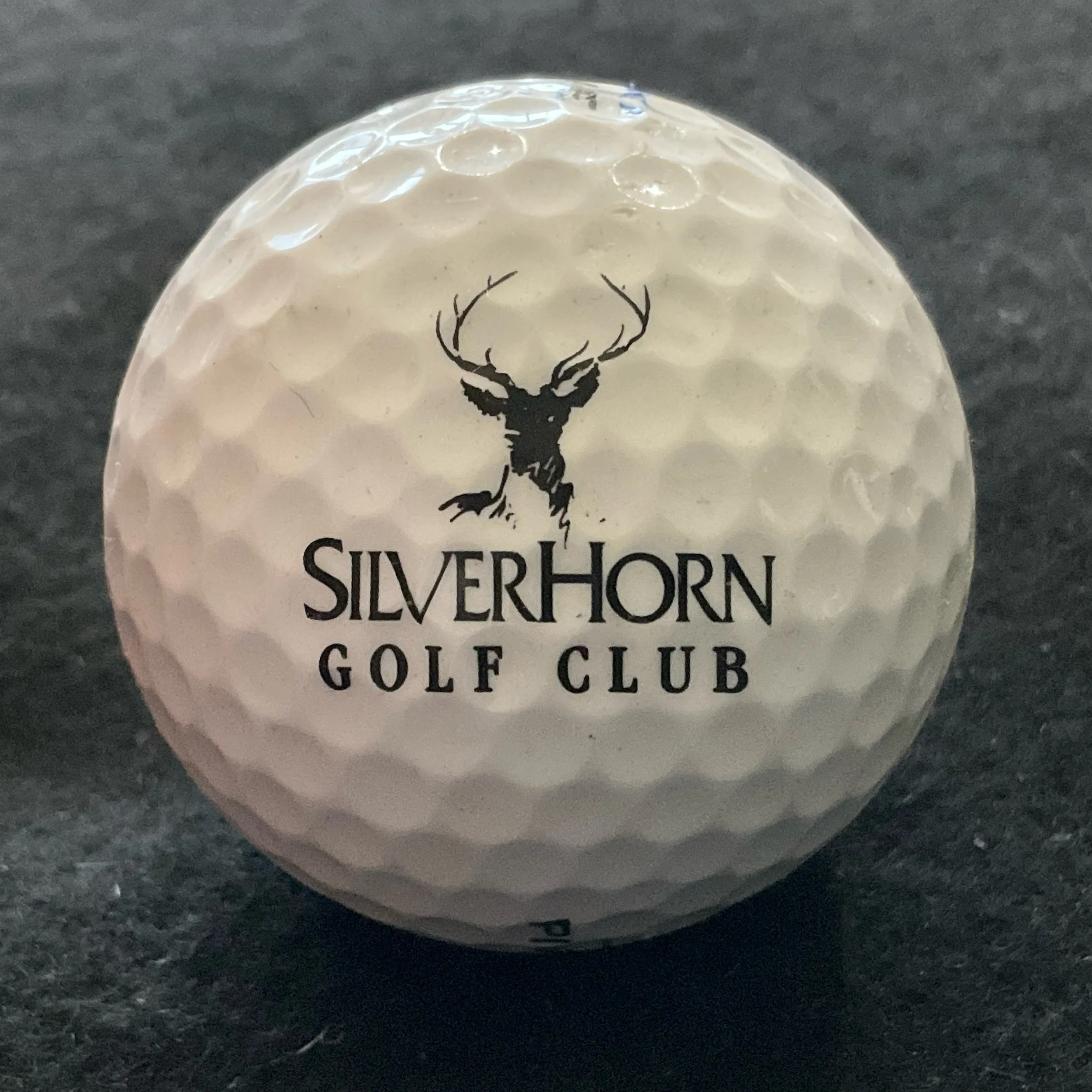 Silverhorn Golf Club