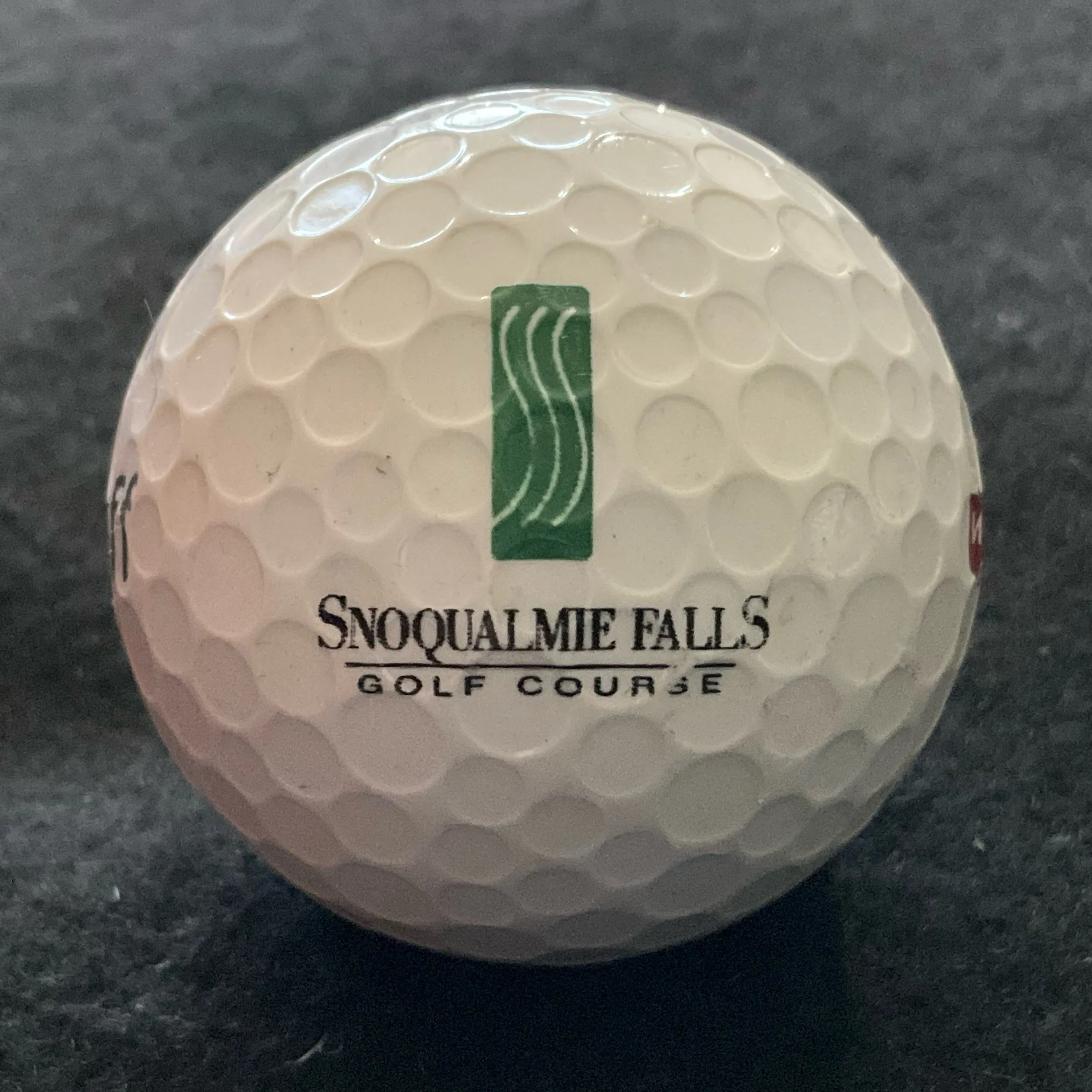 Snoqualmie Falls Golf Course