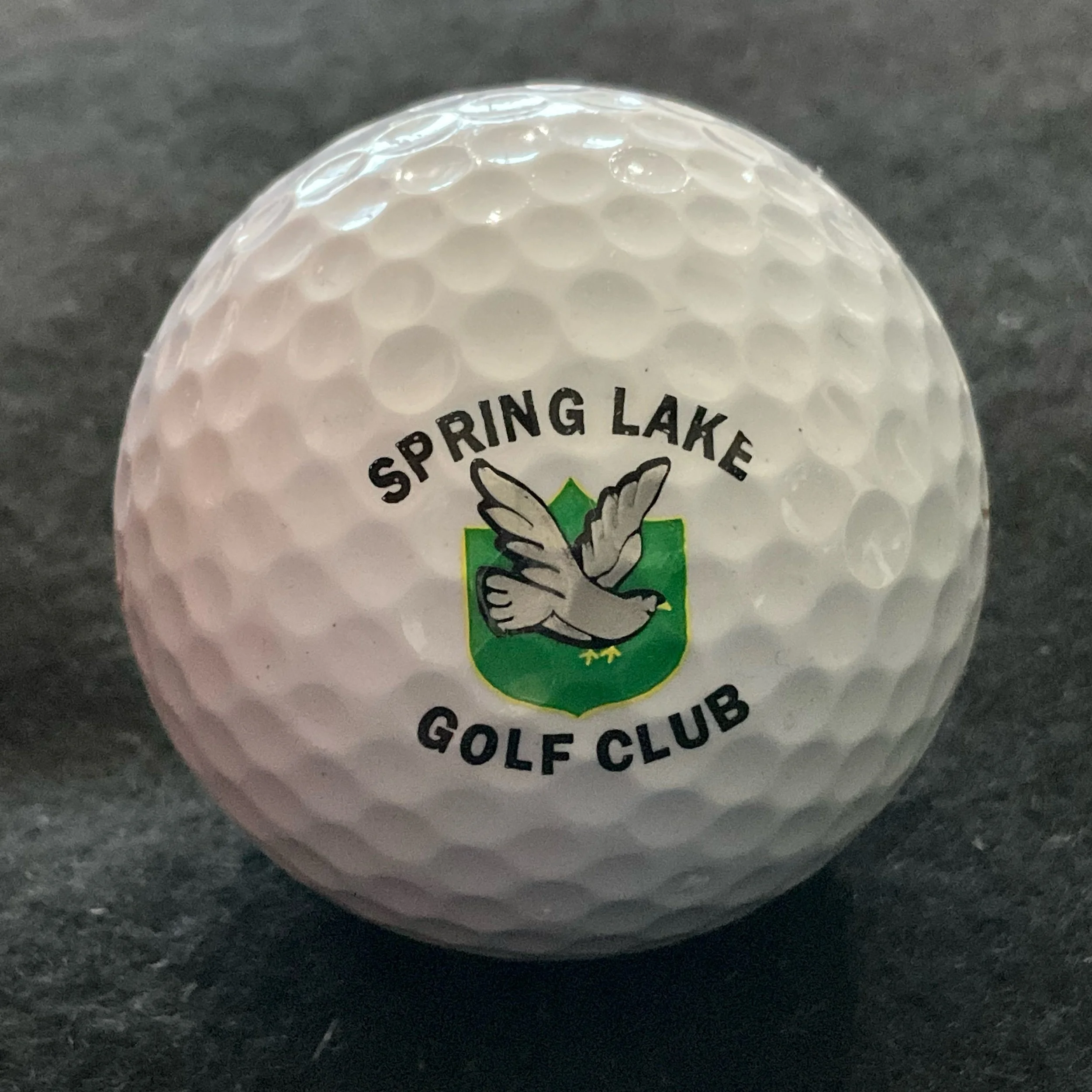 Spring Lake Golf Club