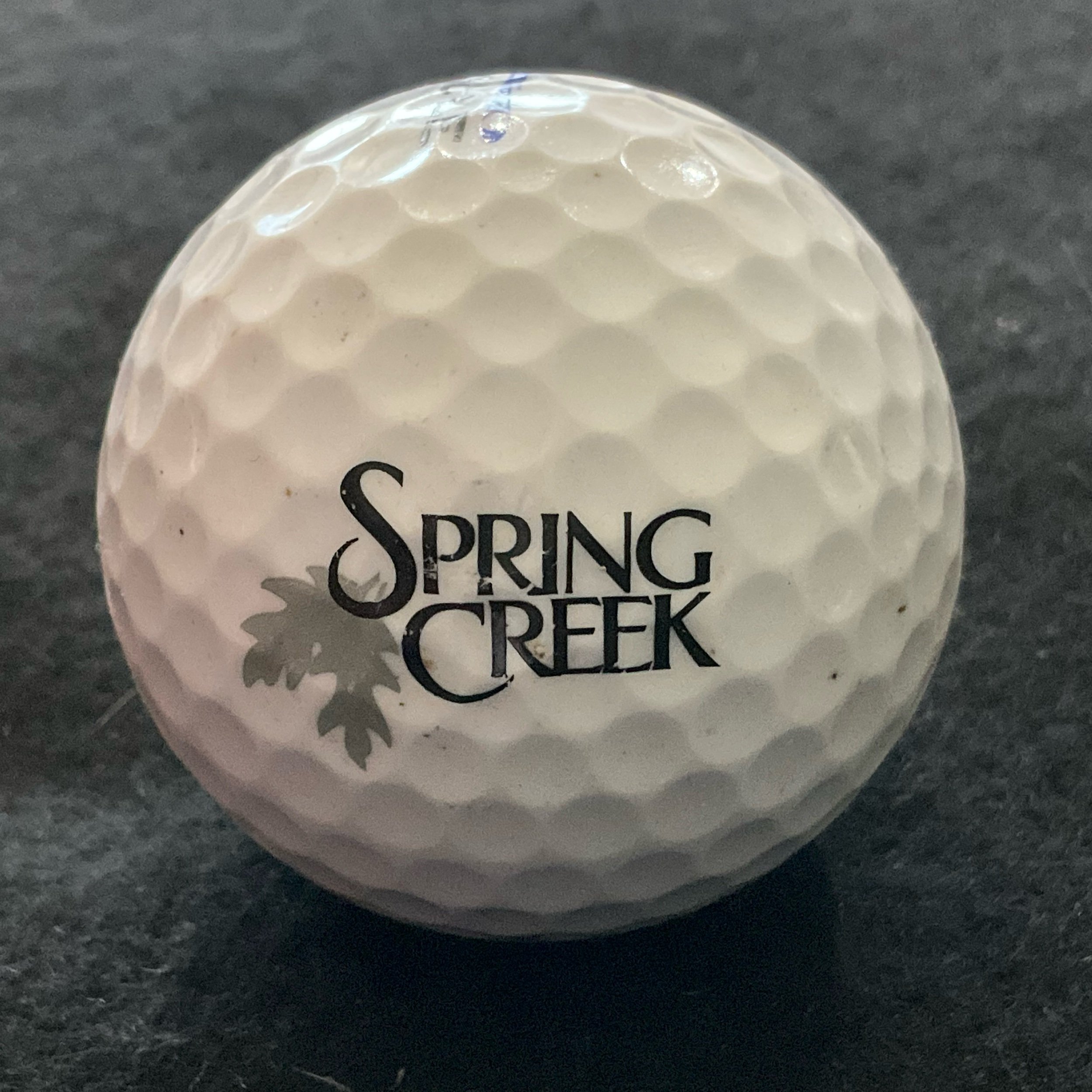 Spring Creek Golf Club