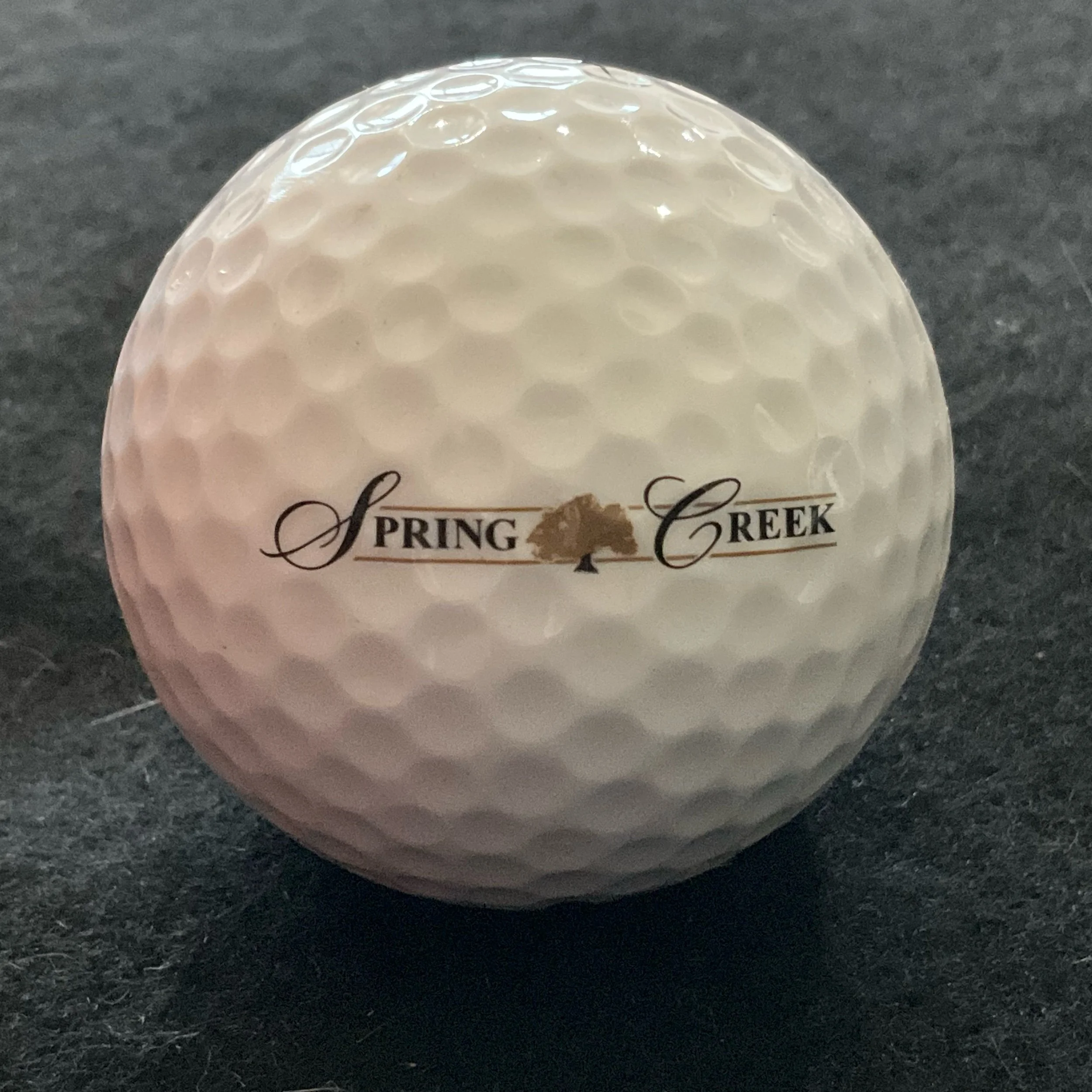 Spring Creek Golf Club