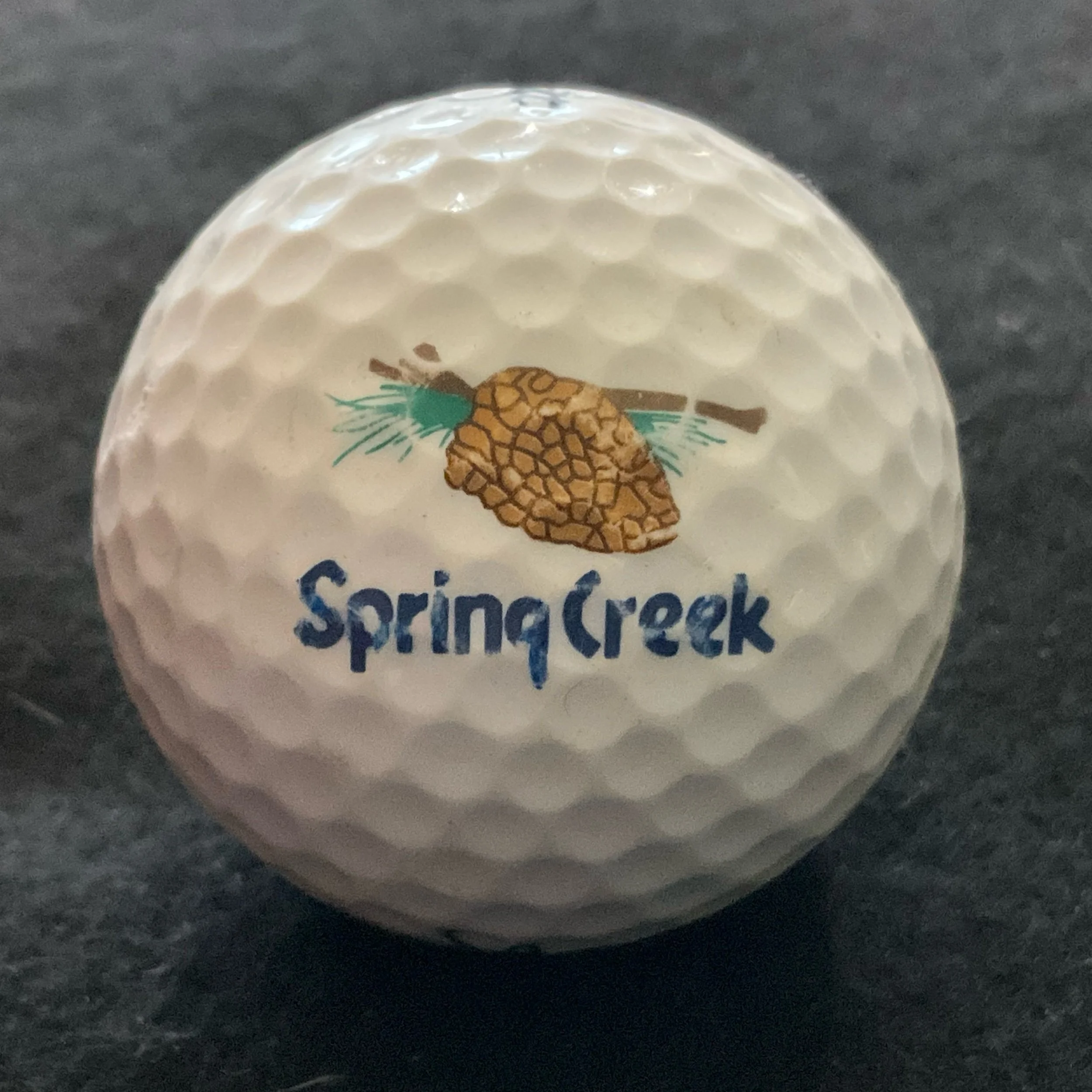 Spring Creek Golf Club