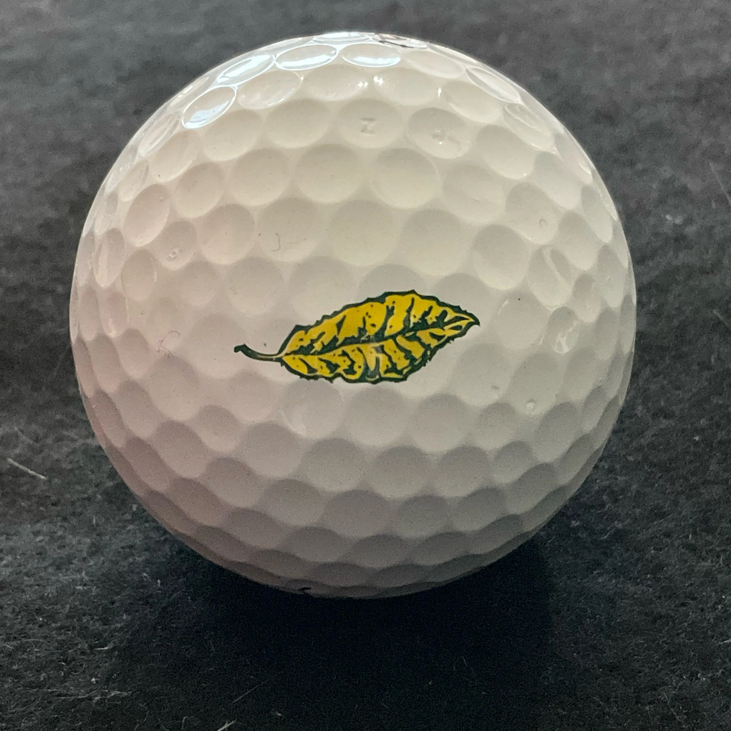Spring Creek Ranch Golf Course