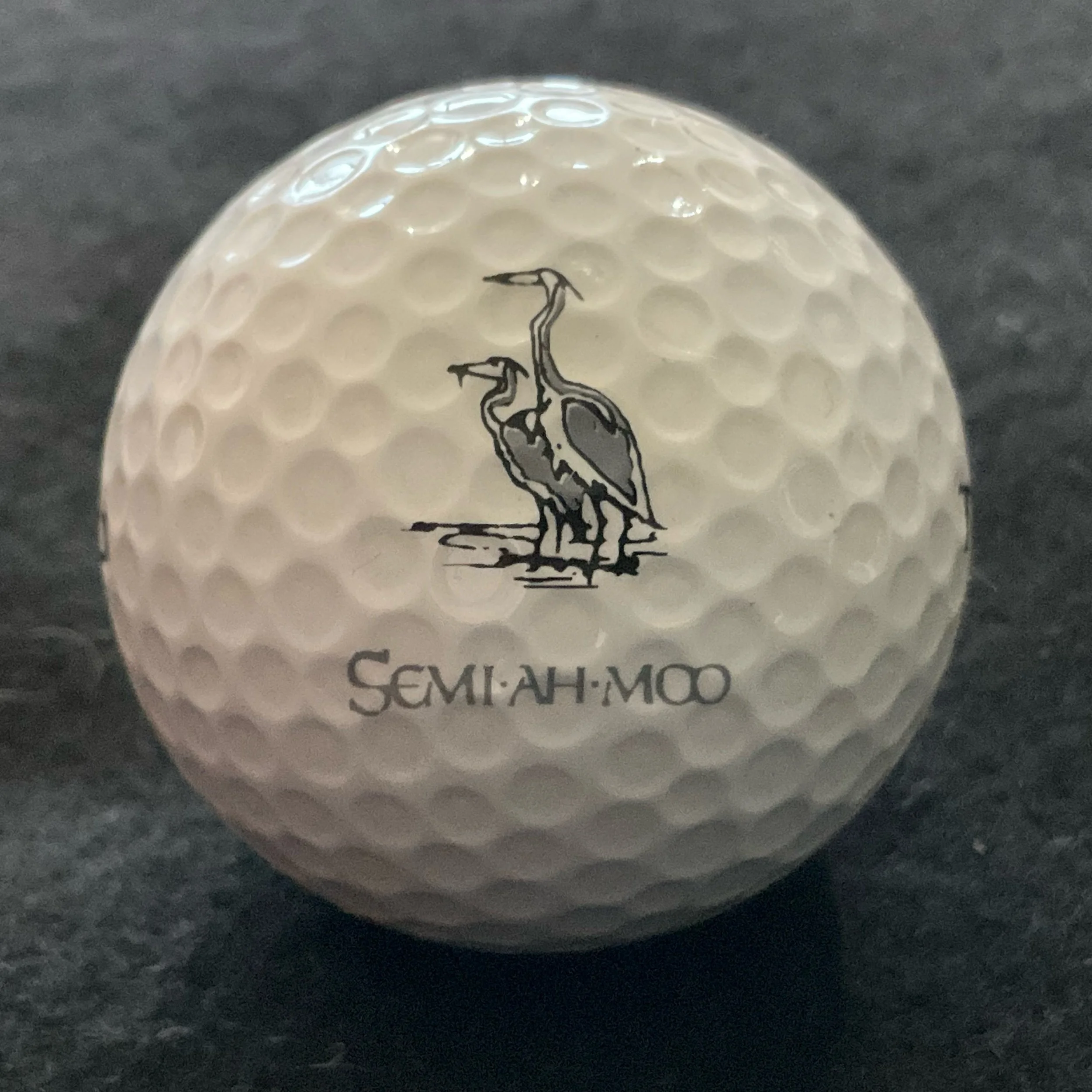 Semi-Ah-Moo Golf Club