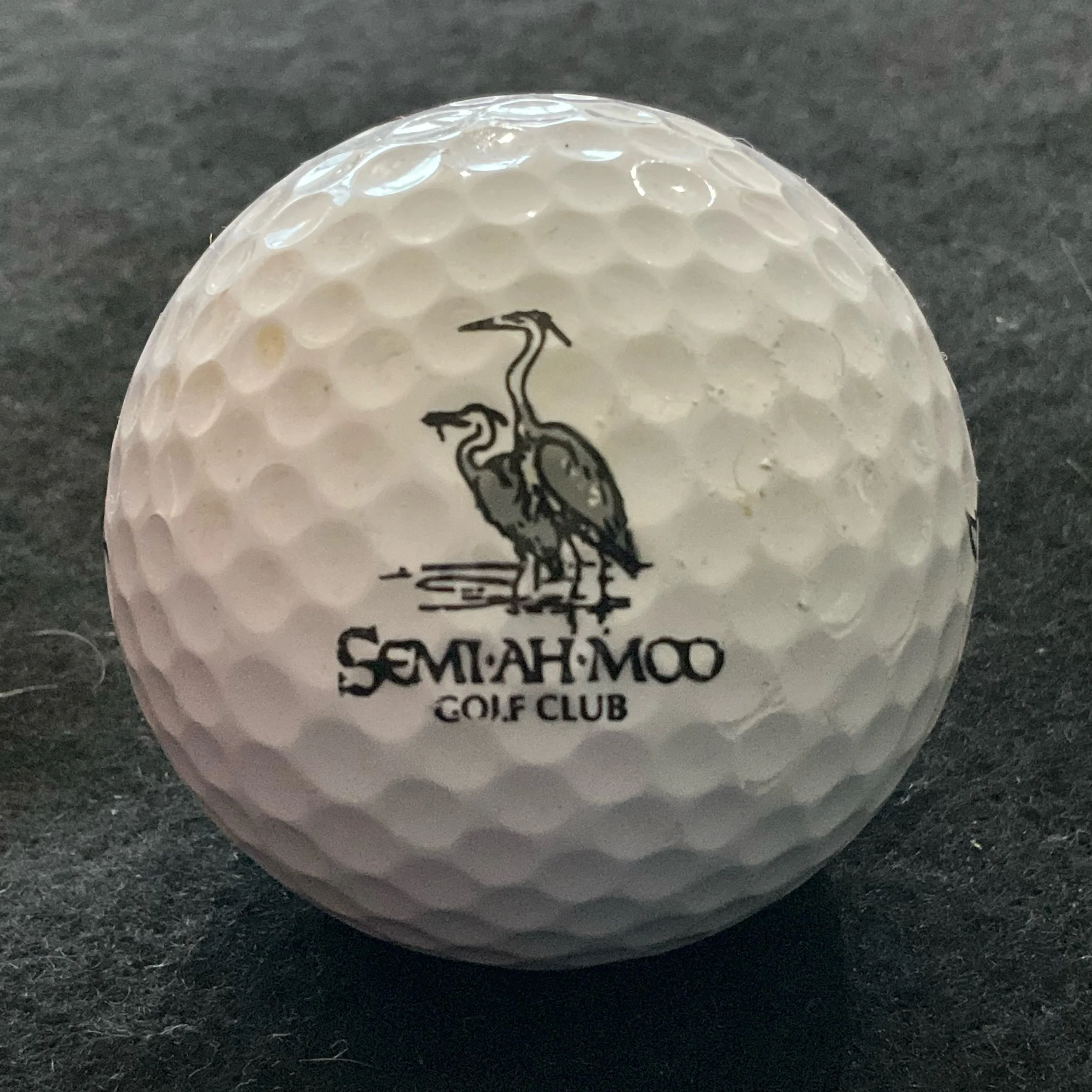 Semi-Ah-Moo Golf Club