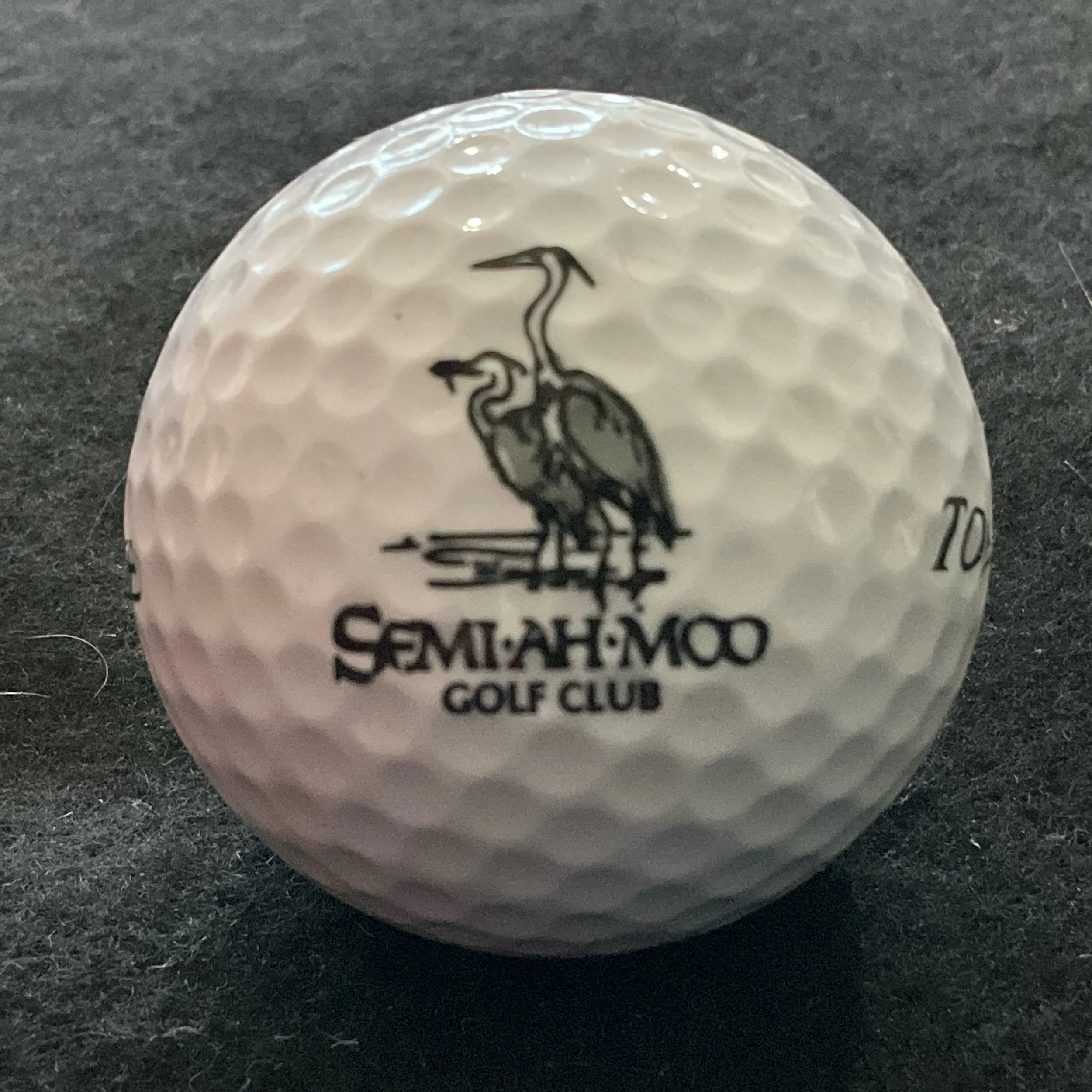 Semi-Ah-Moo Golf Club