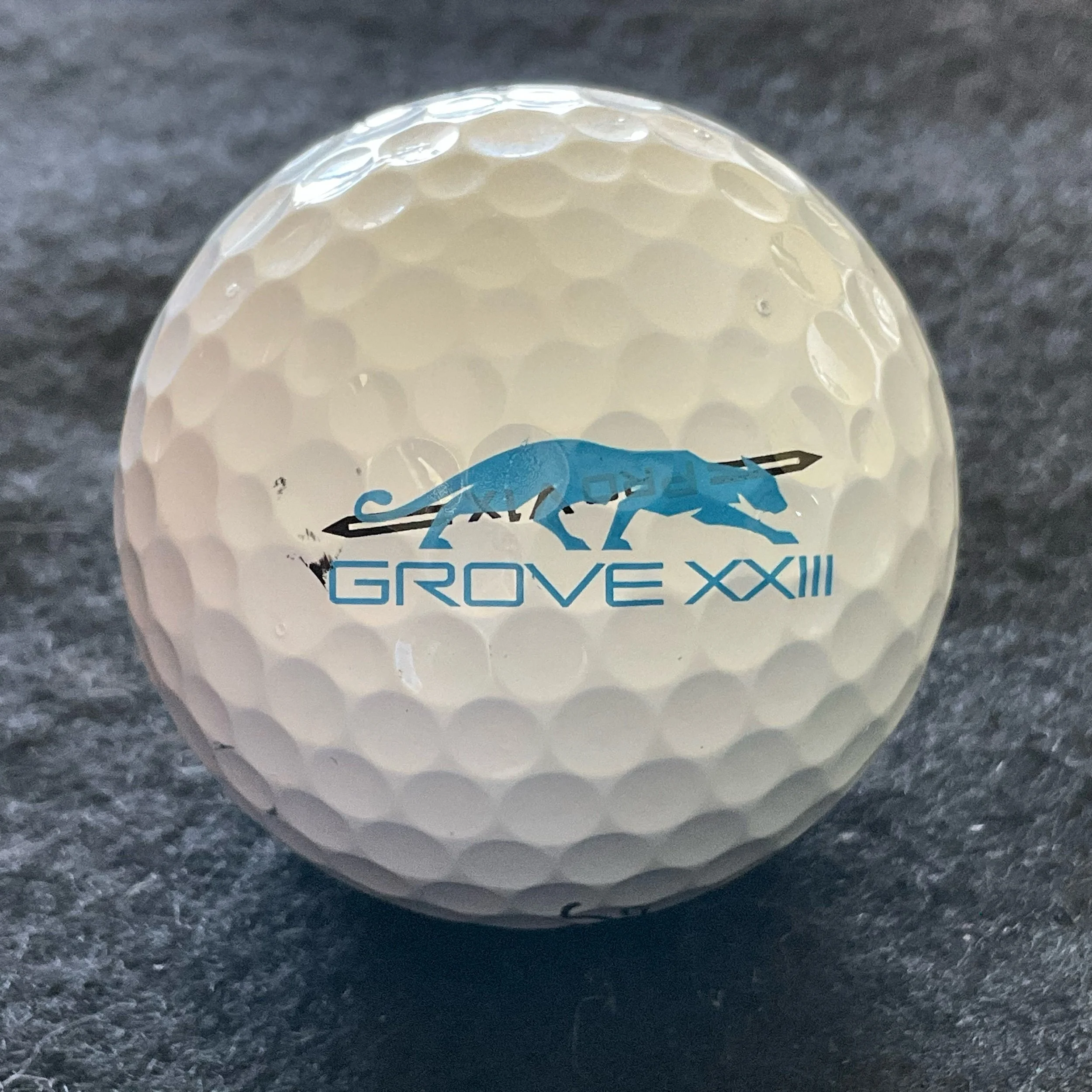 Grove xxiii Golf Course - Exclusive Private Golf Course of Michael Jordan