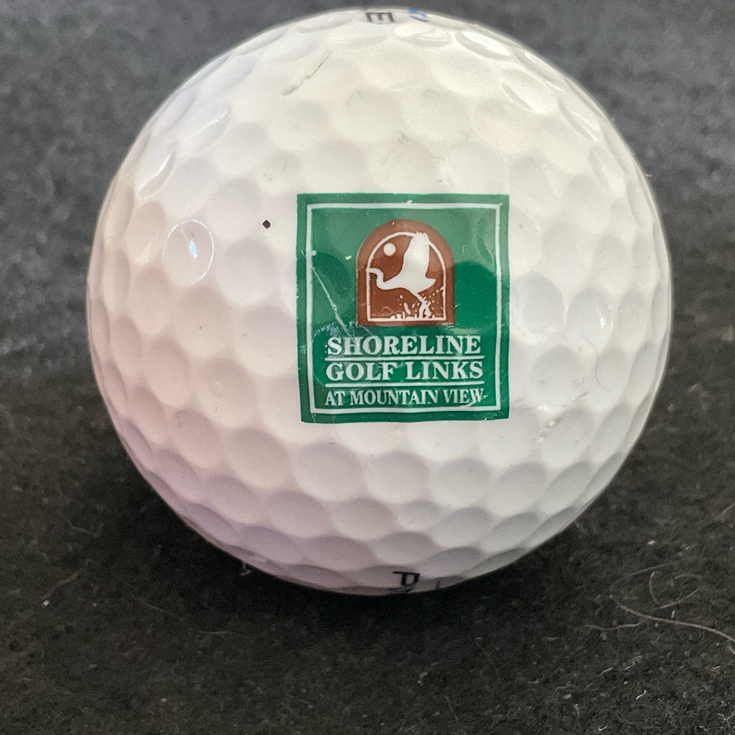Shoreline Golf Links at Mountain View