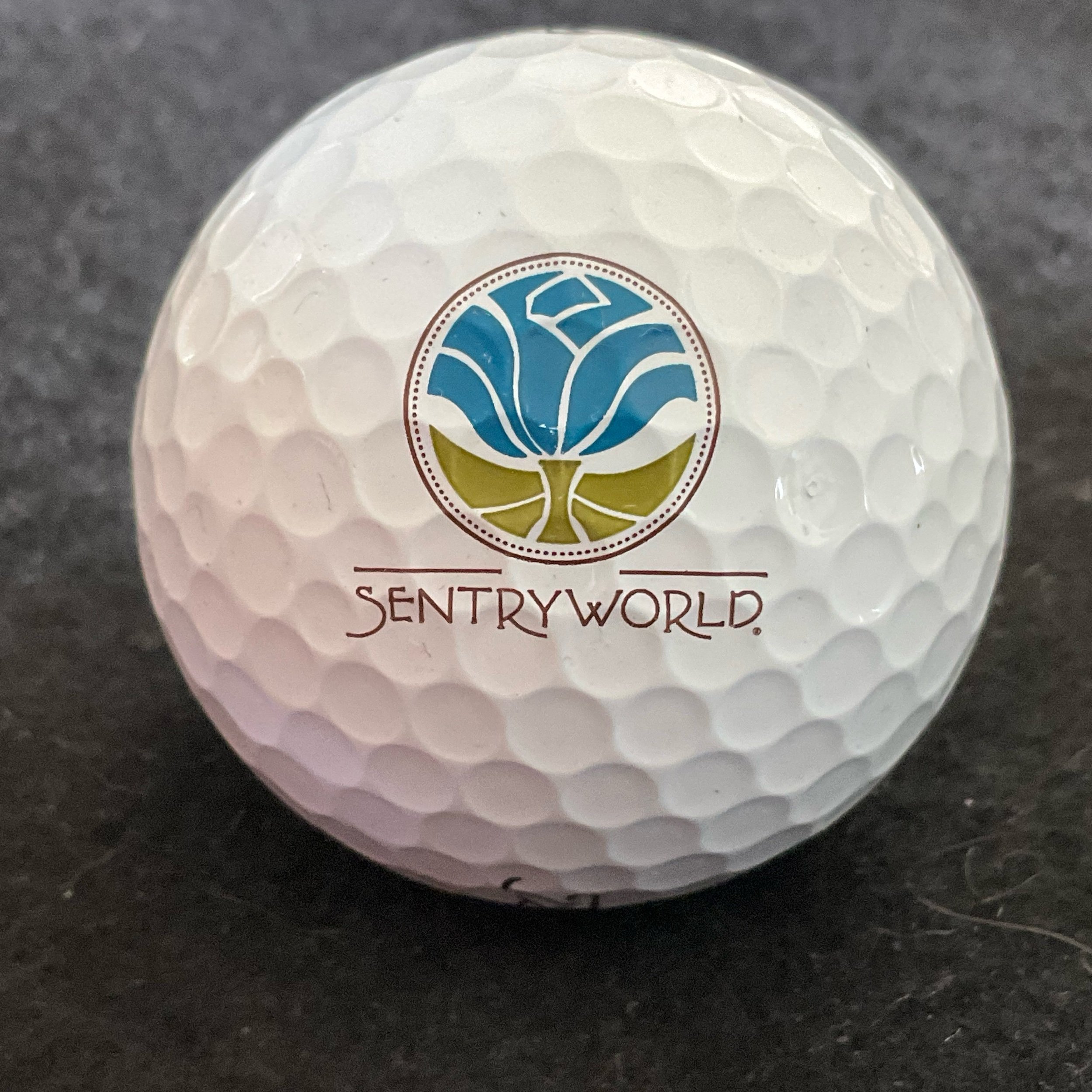 Sentryworld Golf Club