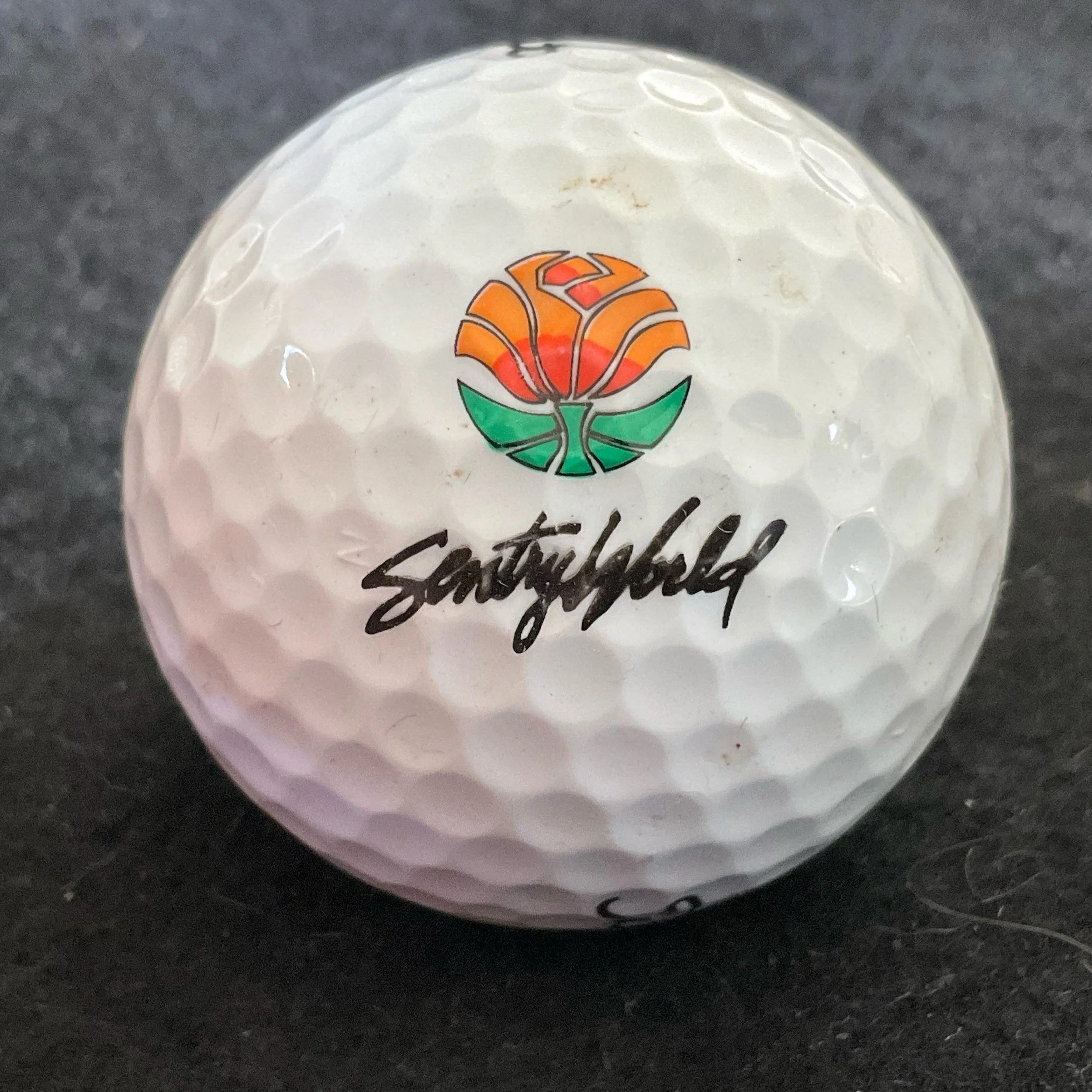 Sentryworld Golf Club