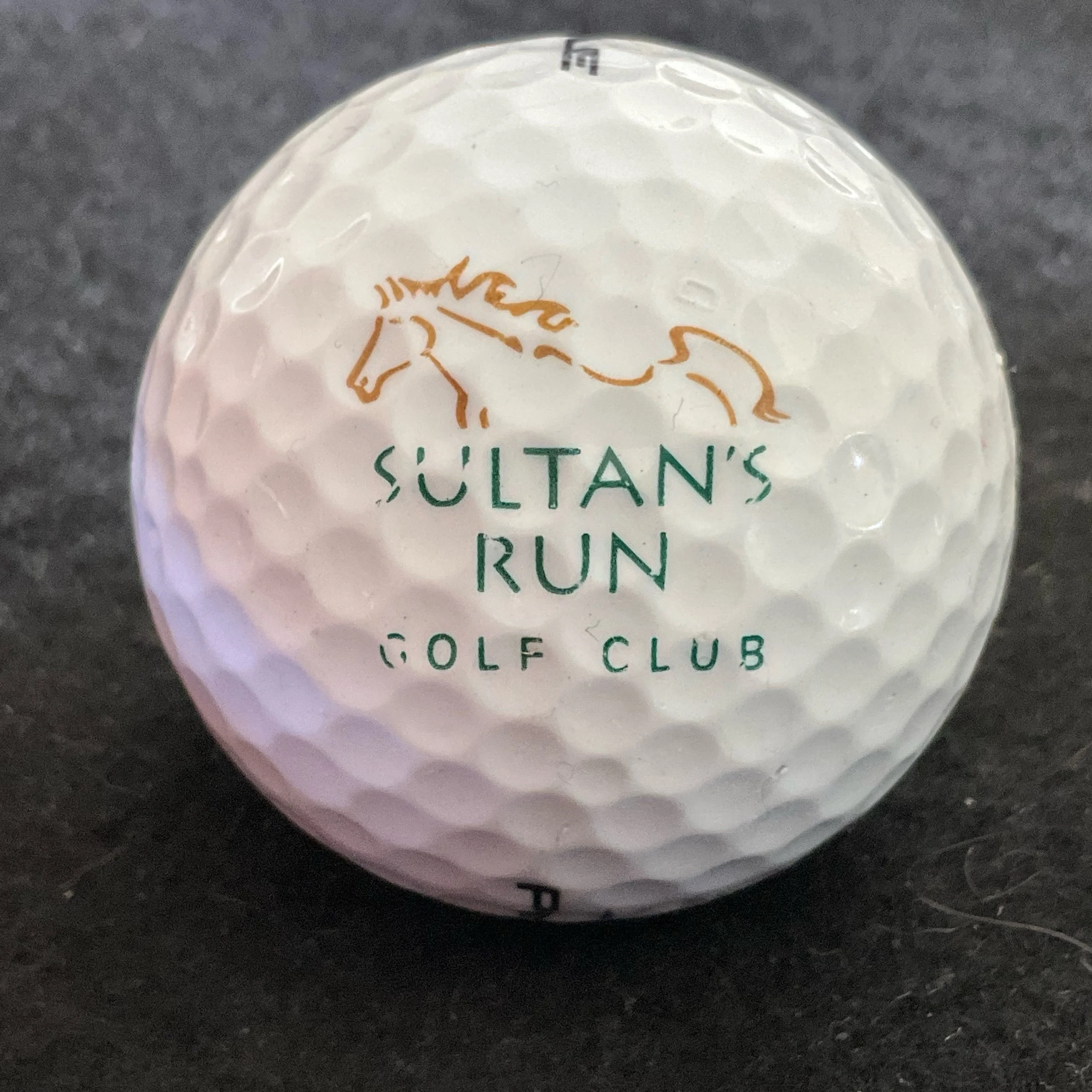 Sultan’s Run Golf Club