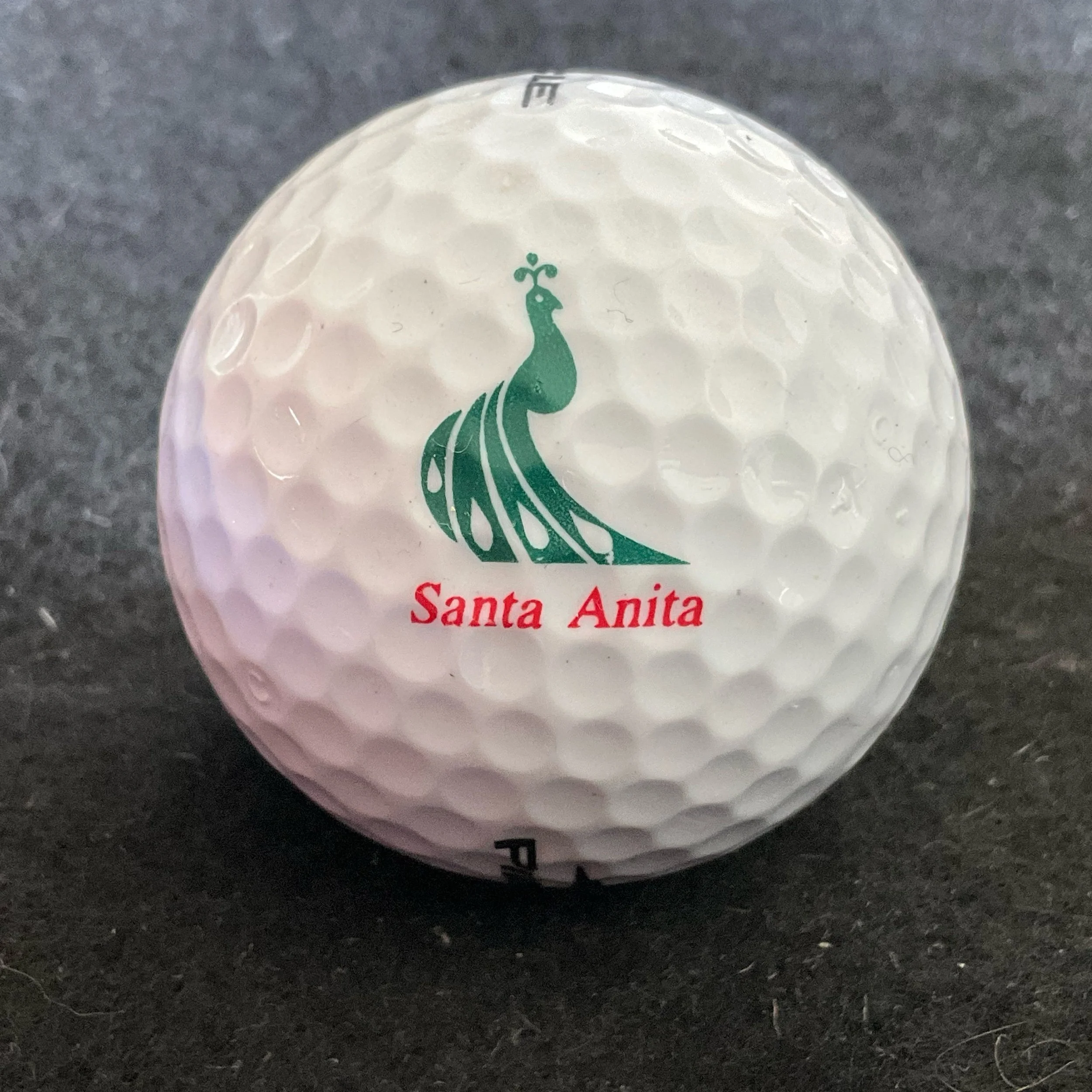 Santa Anita Golf Club
