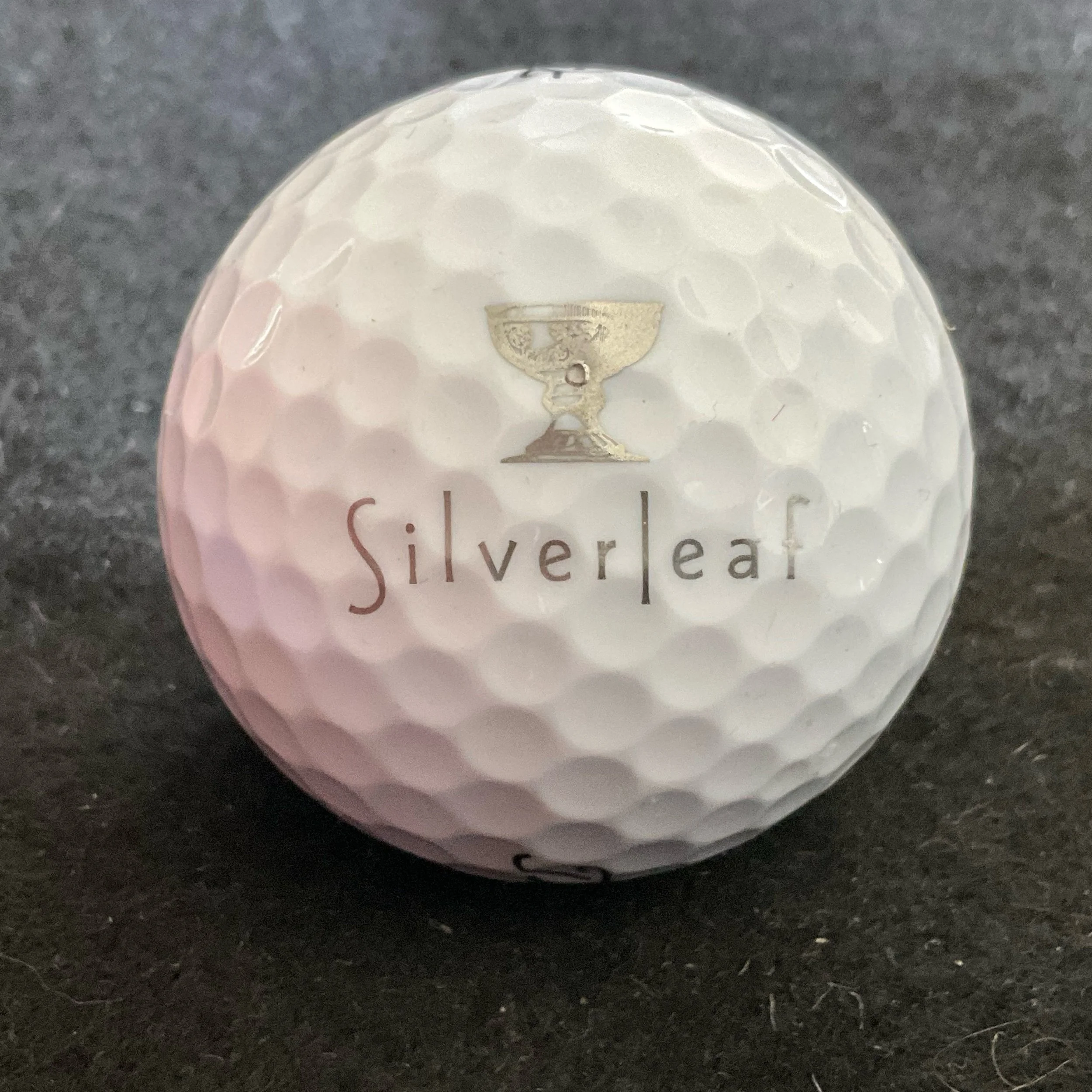 Silverleaf - The Silverleaf Club