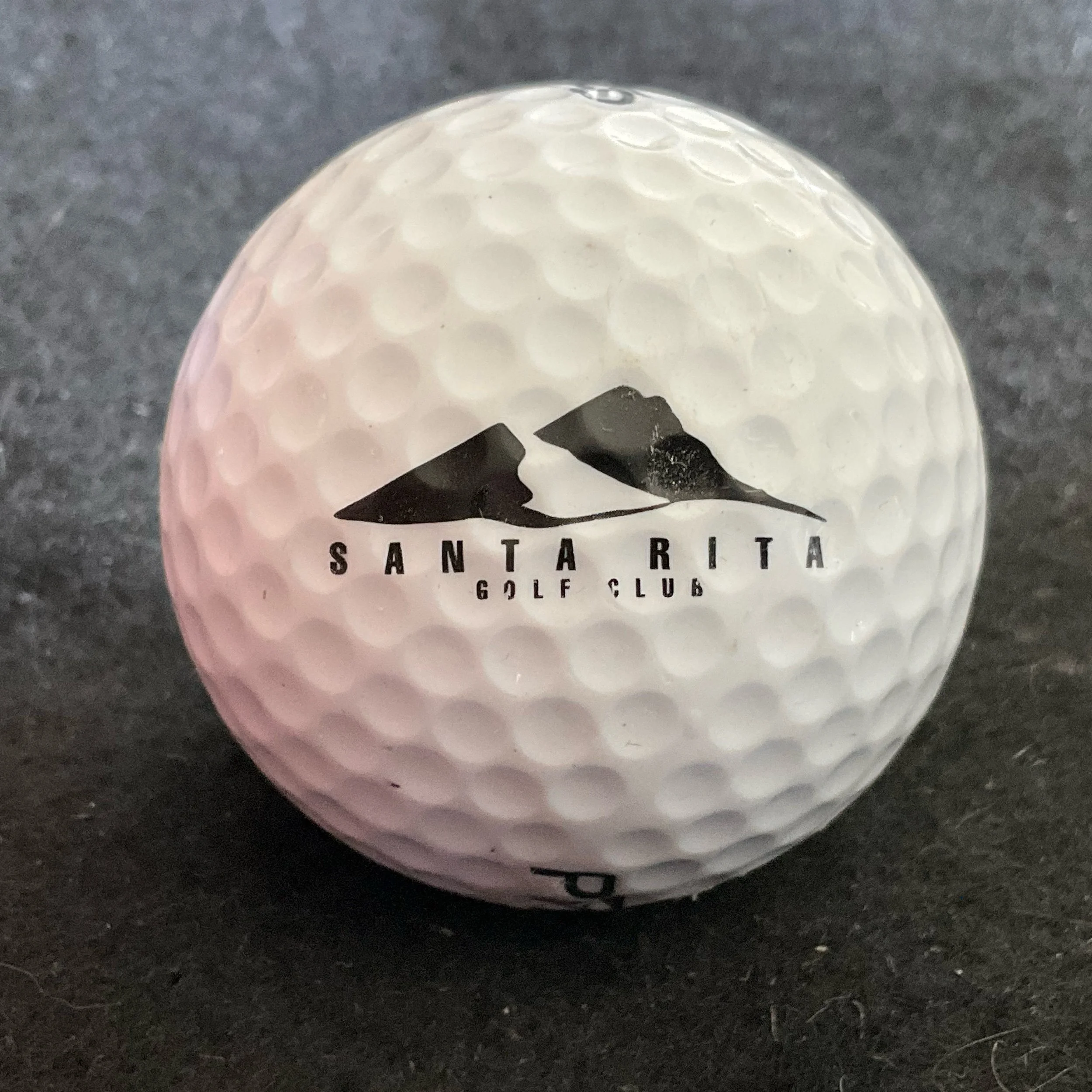Santa Rita Golf Club