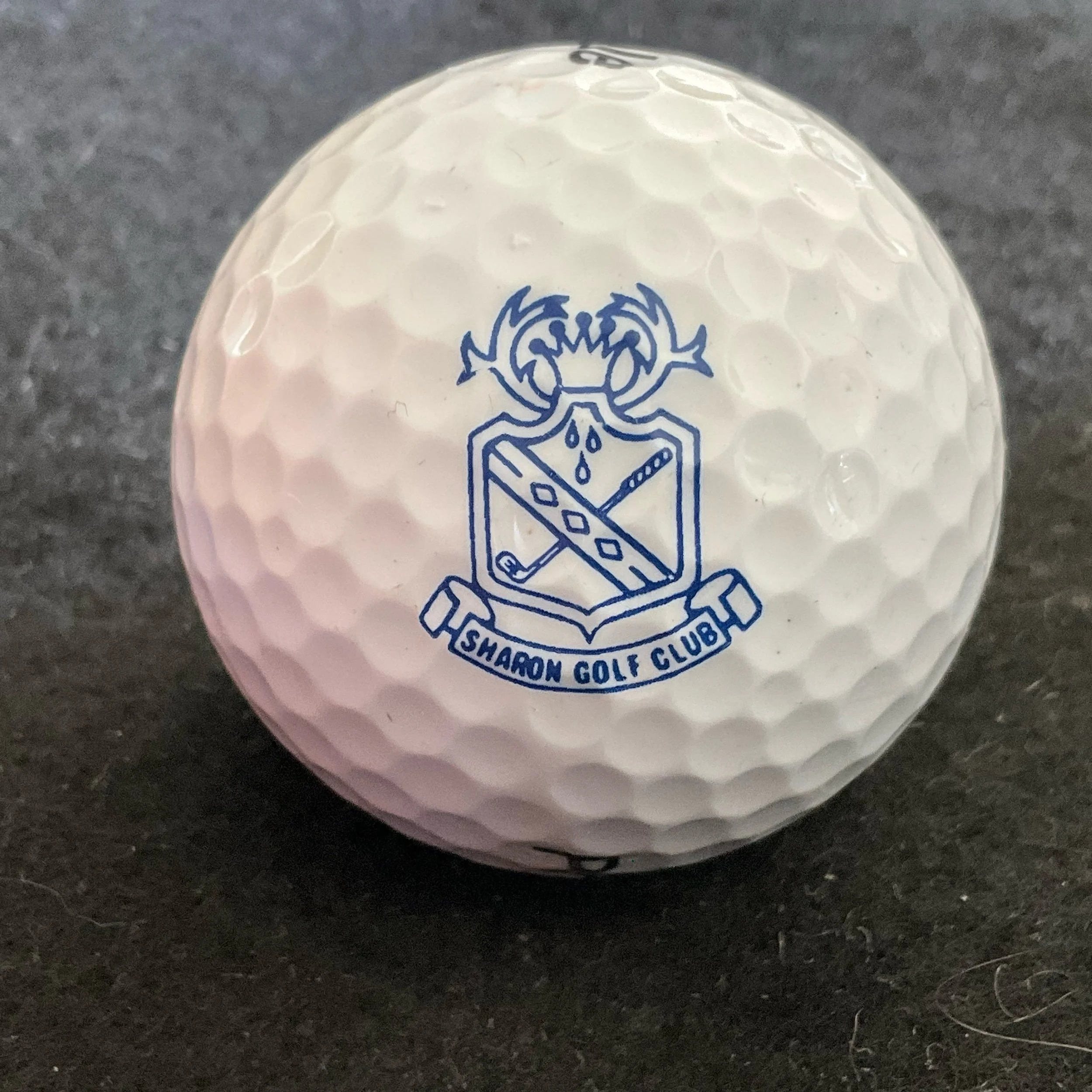 Sharon Golf Club