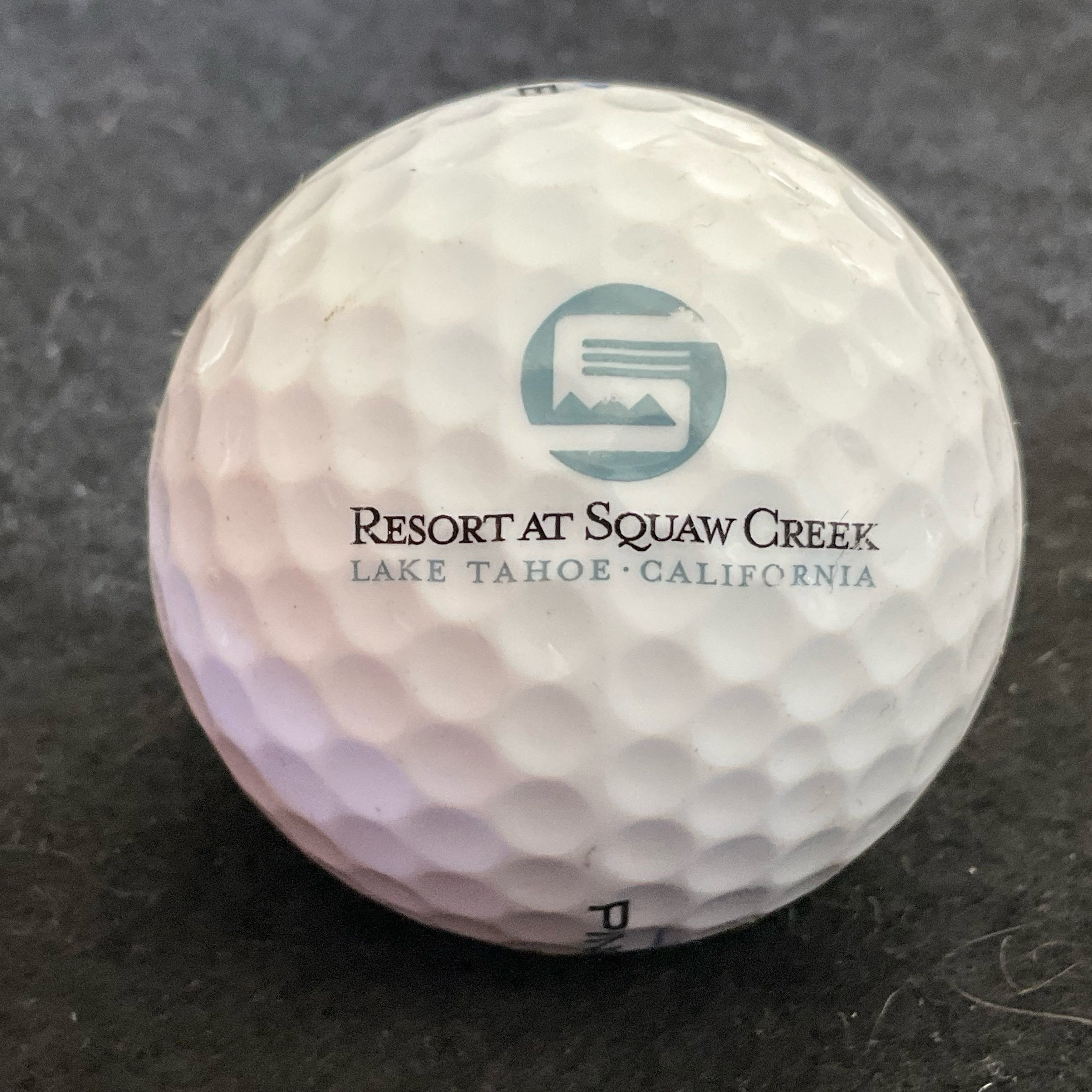 Squaw Creek - Resort at Squaw Creek
