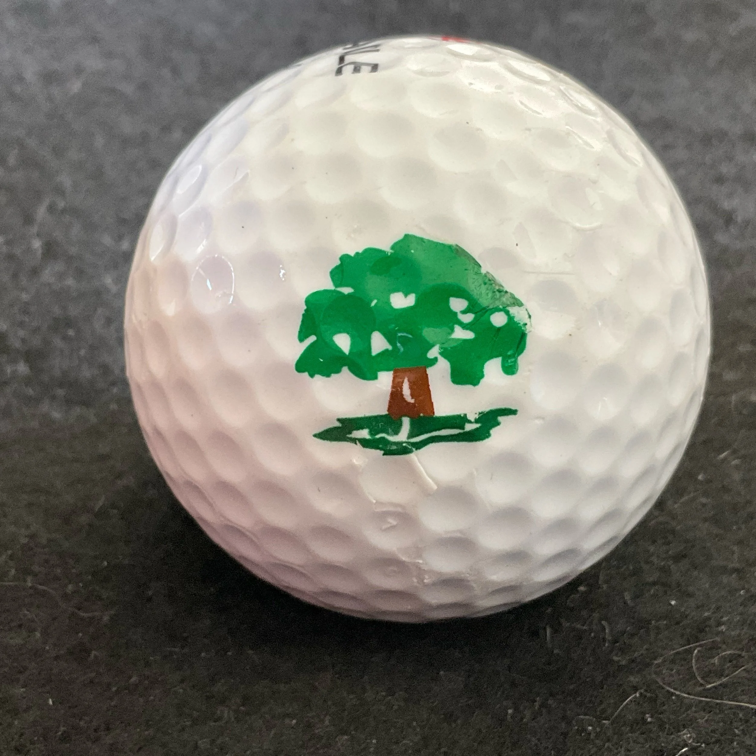 Squaw Creek Avalon Golf and Country Club