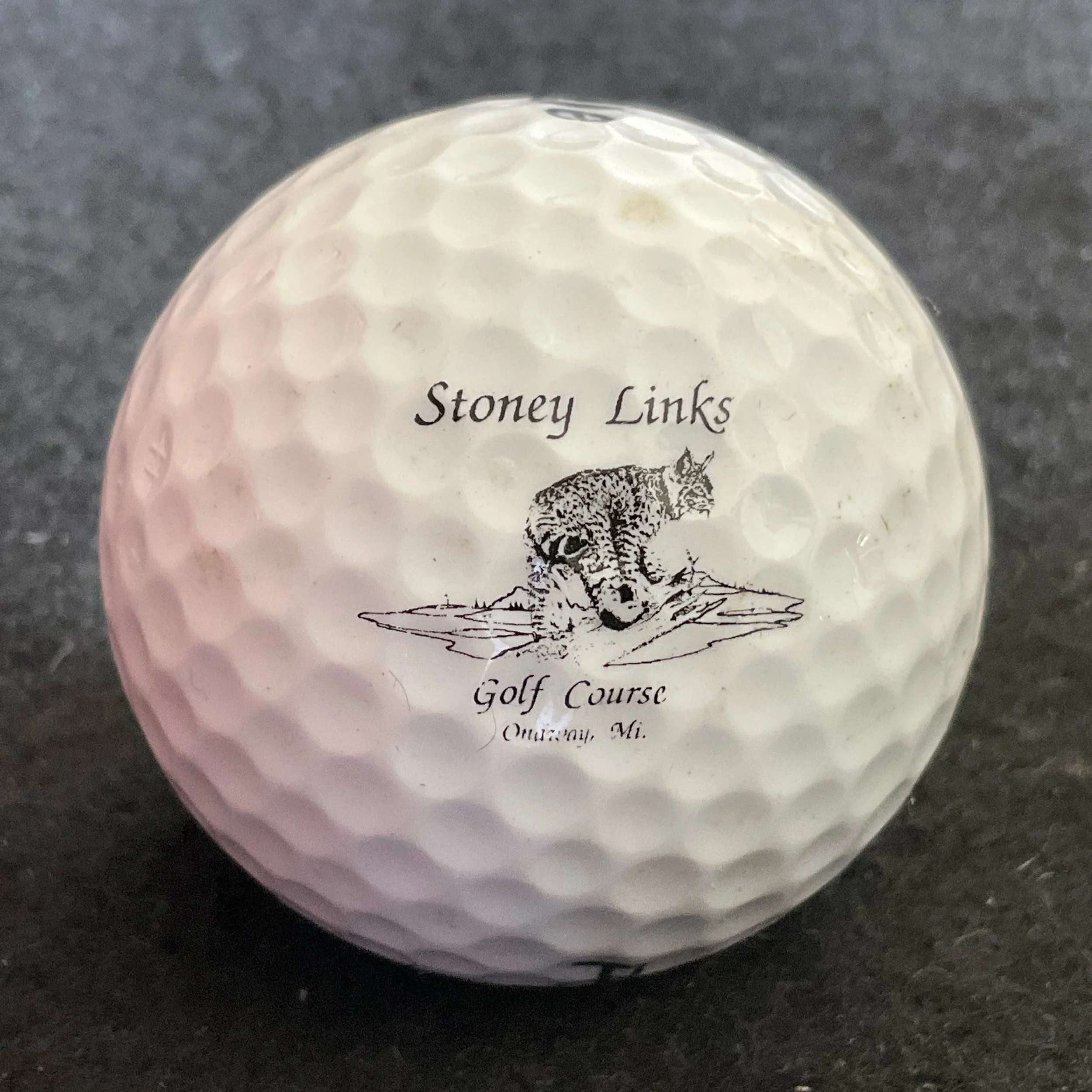 Stoney Links Golf Course