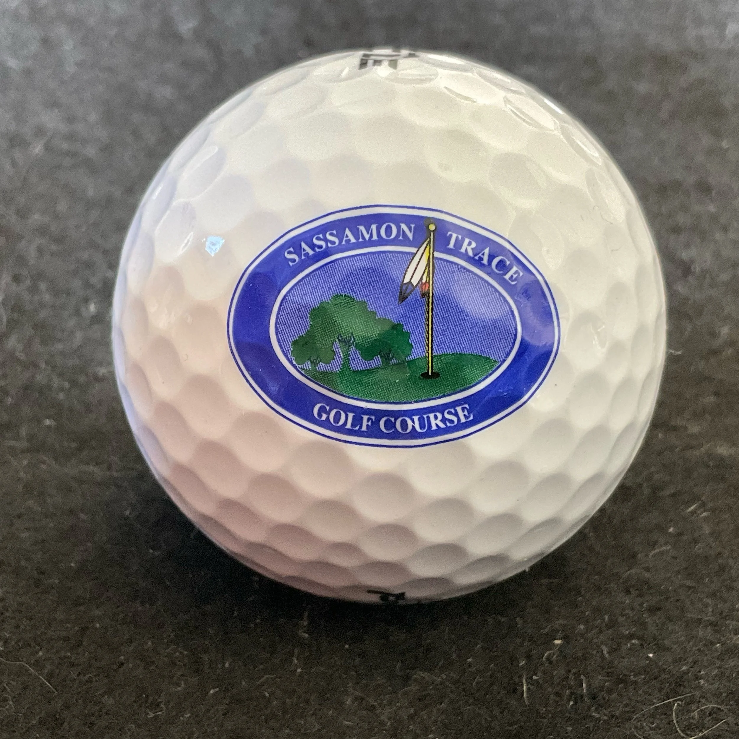 Sassamon Trace Golf Course