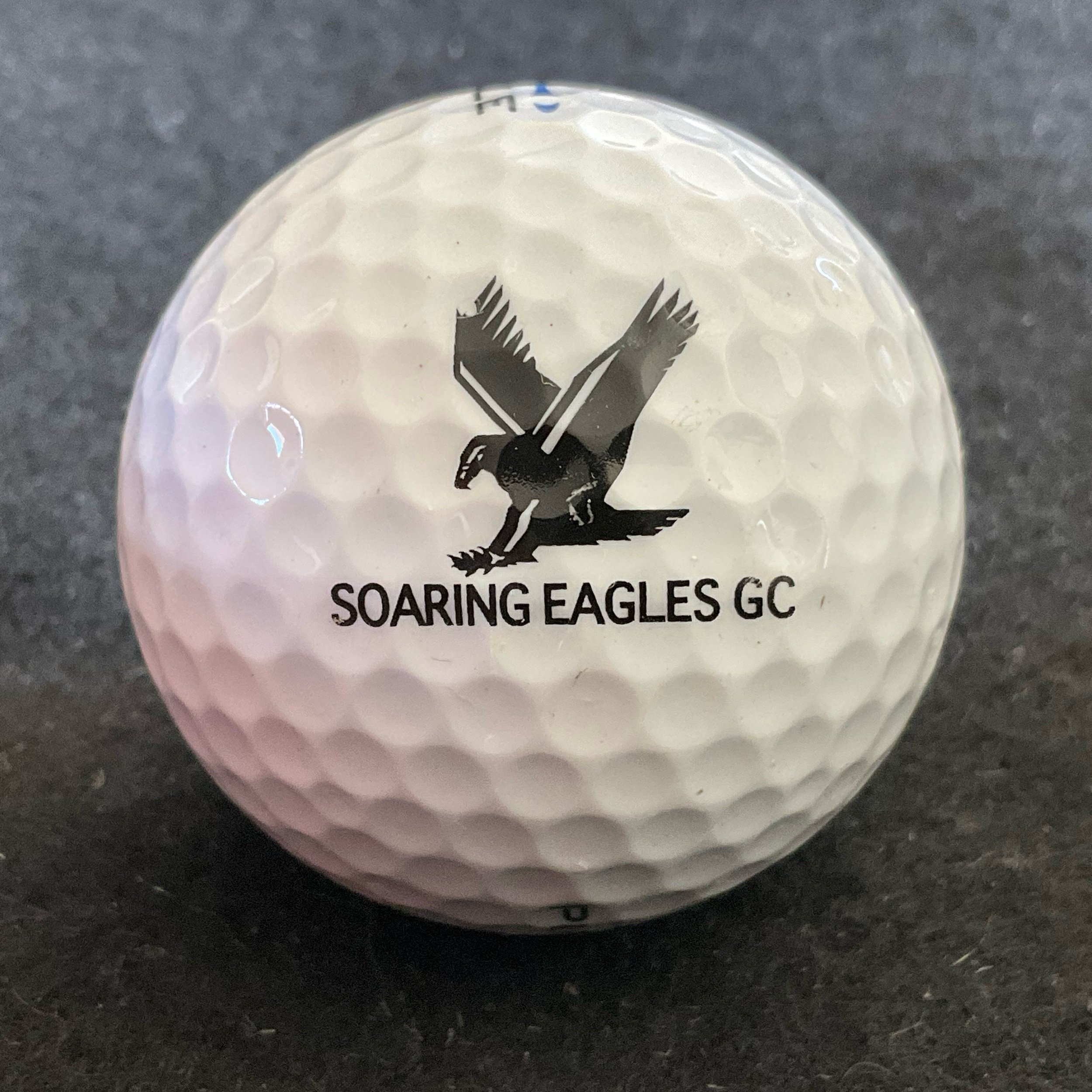 Soaring Eagles Golf Club