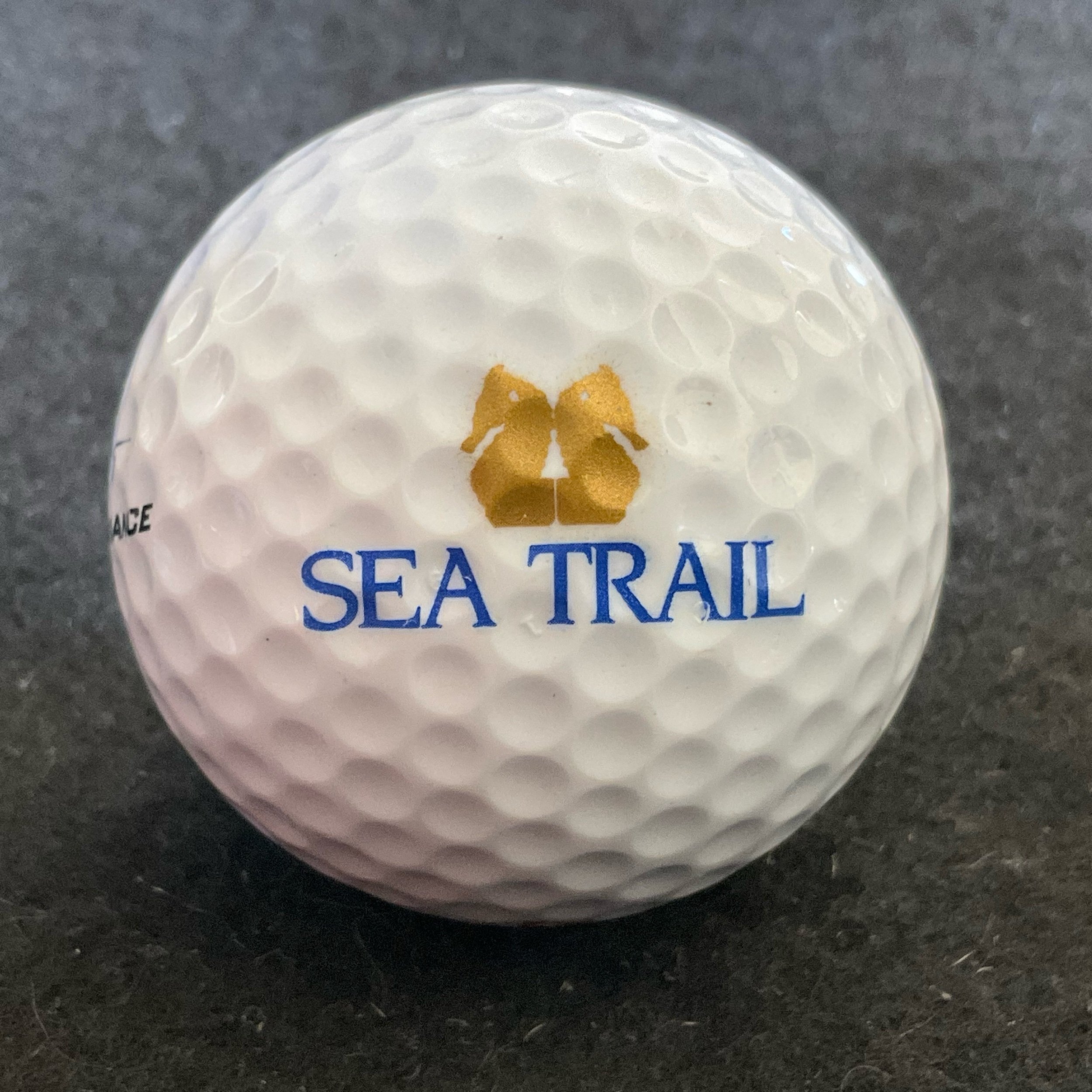 Sea Trail Golf Resort