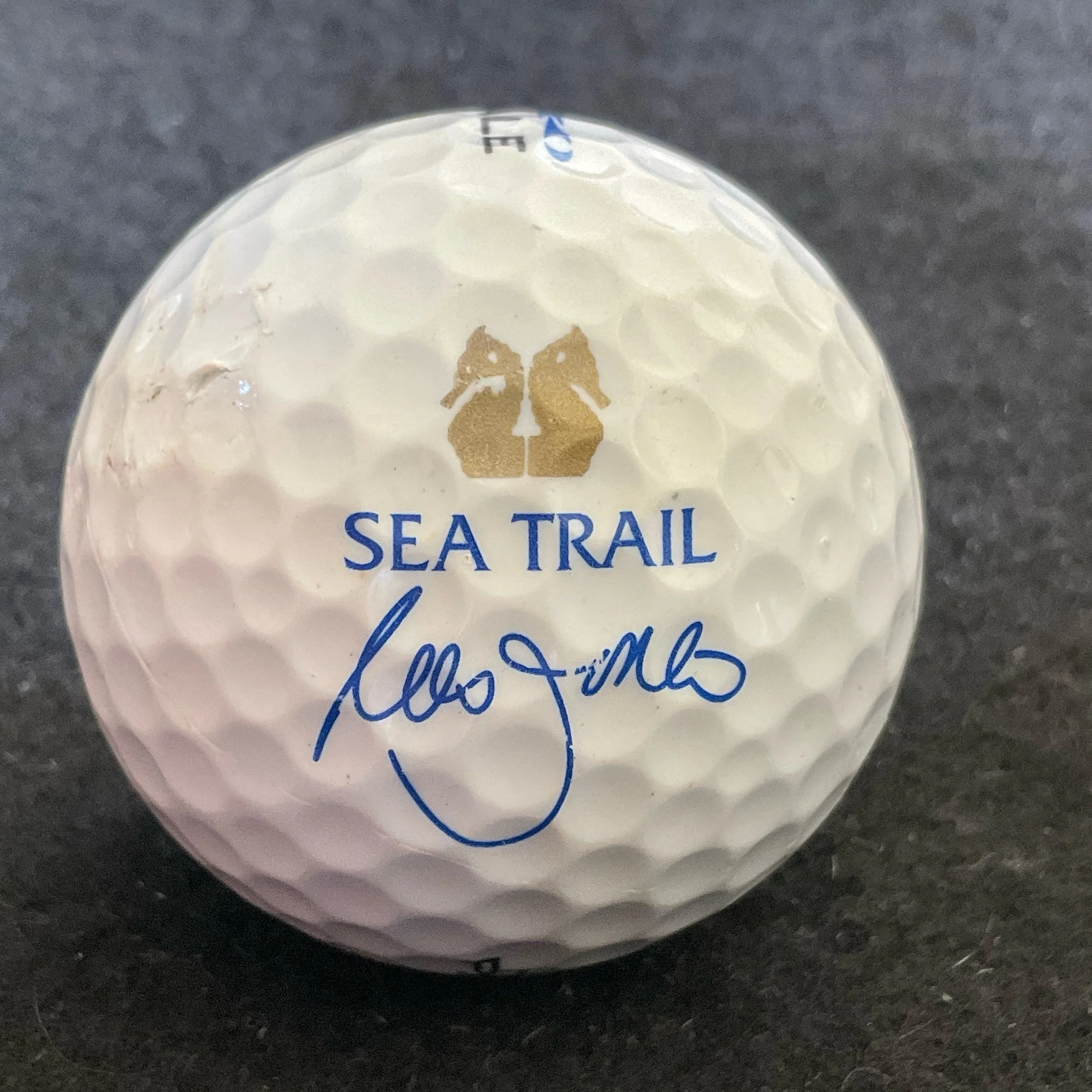 Sea Trails Golf Resort - Rees Jones Course