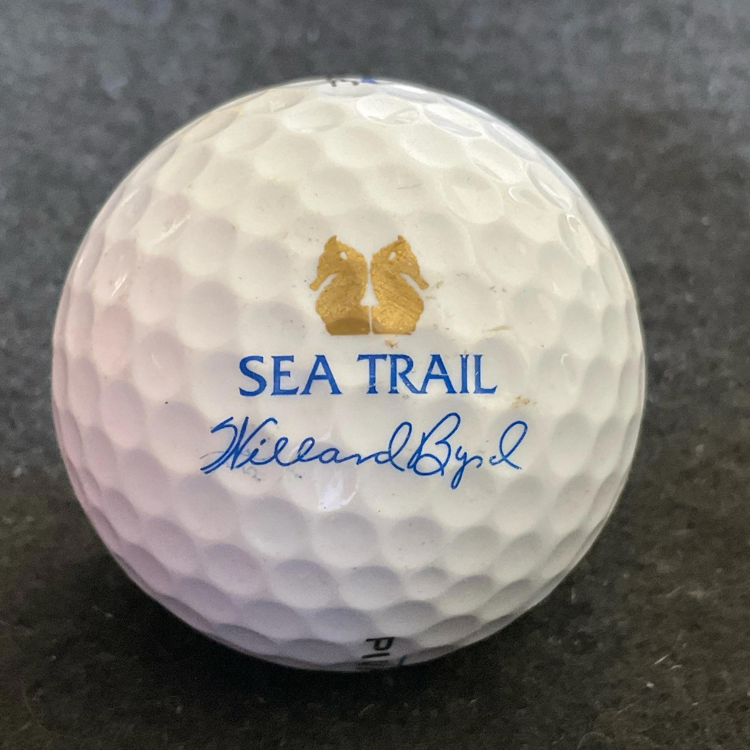 Sea Trail Golf Resort - Willard Byrd Course