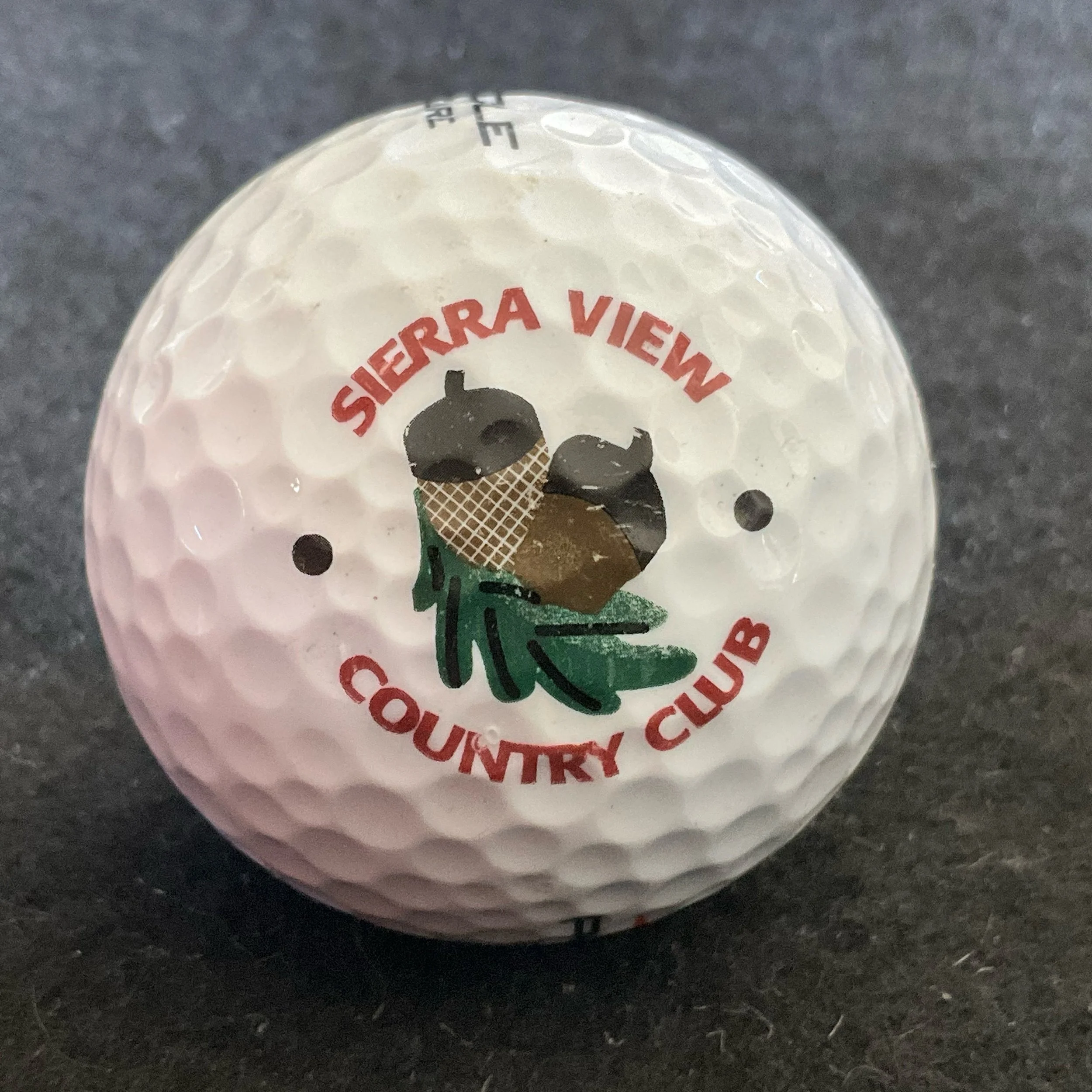 Sierra View Country Club