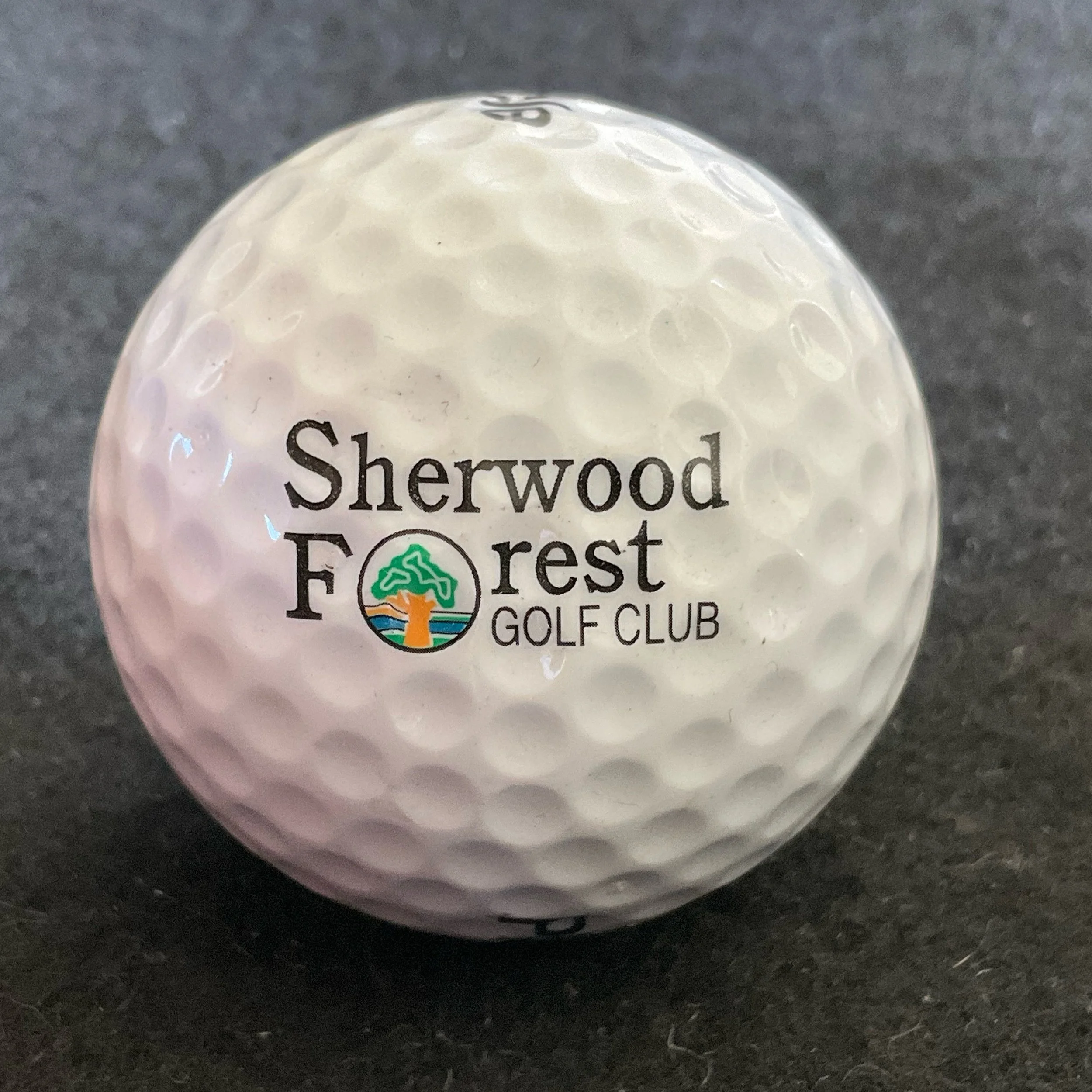 Sherwood Forest Golf Club