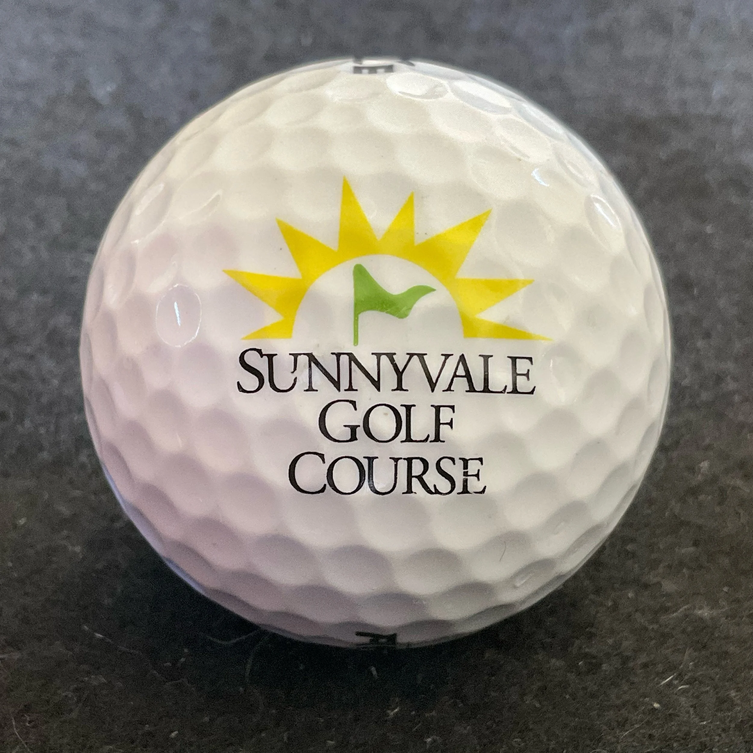 Sunnyvale Golf Course