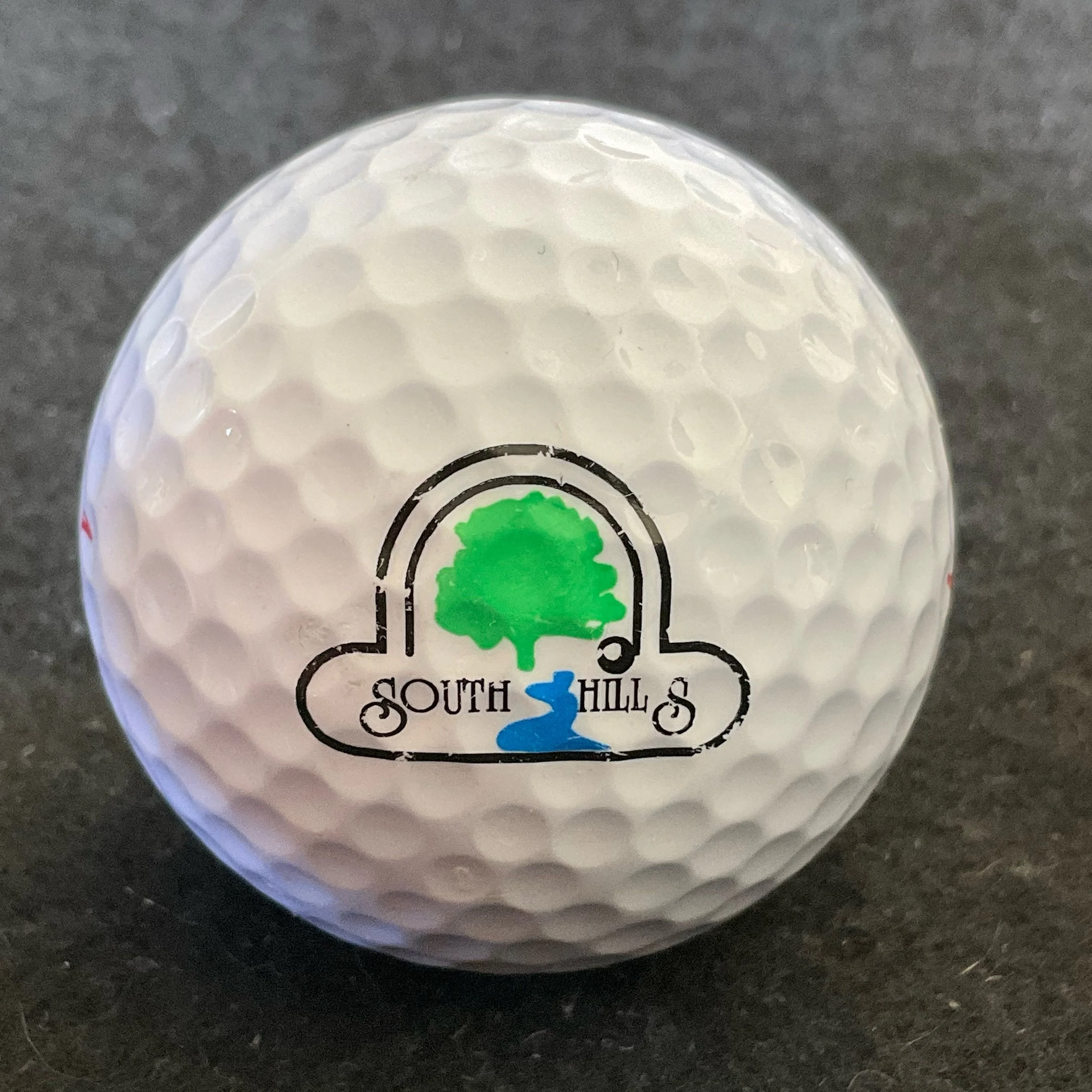 South Hills Golf and Country Club