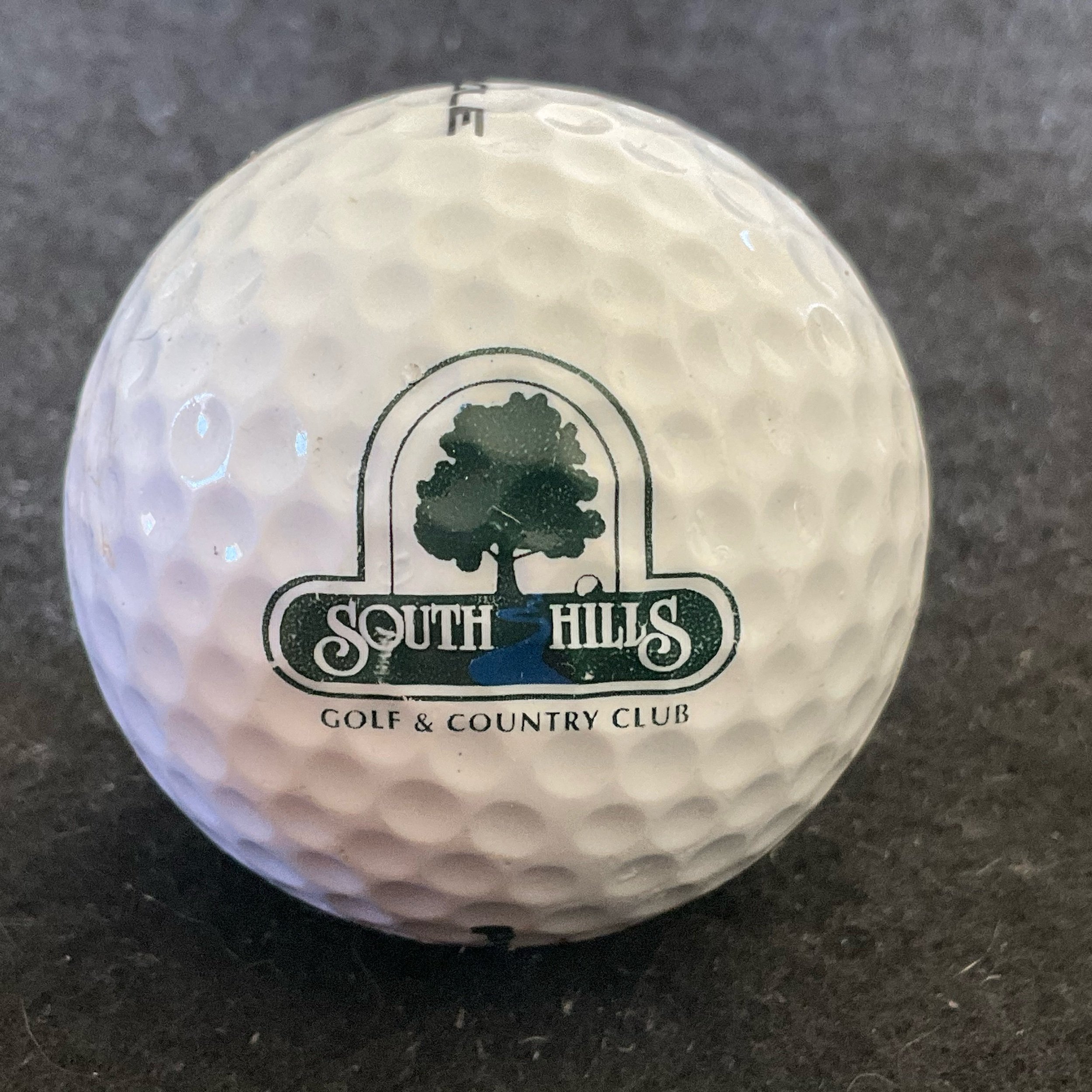 South Hills Golf and Country Club