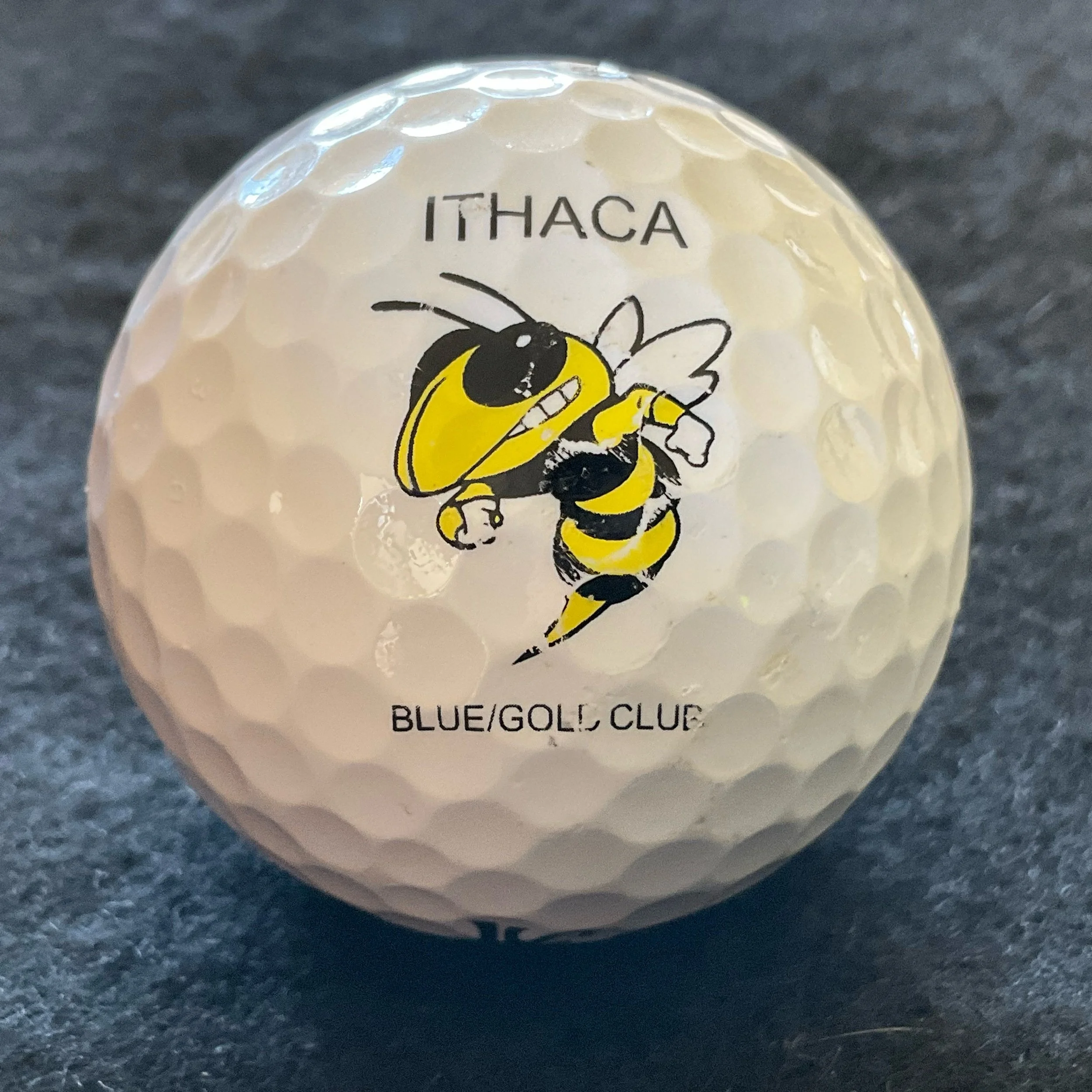 Ithaca Blue Gold Club