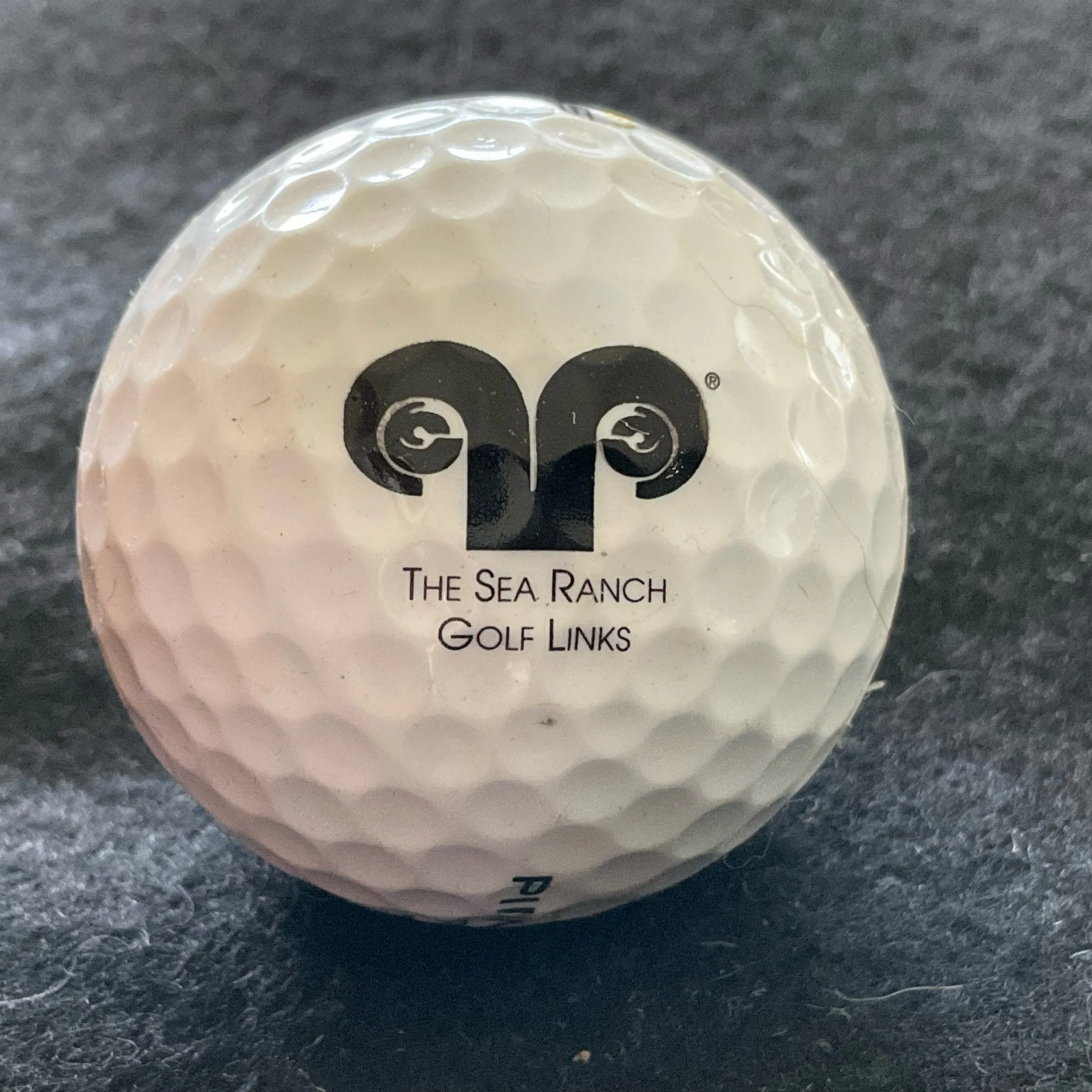 Sea Ranch - The Sea Ranch Golf Links