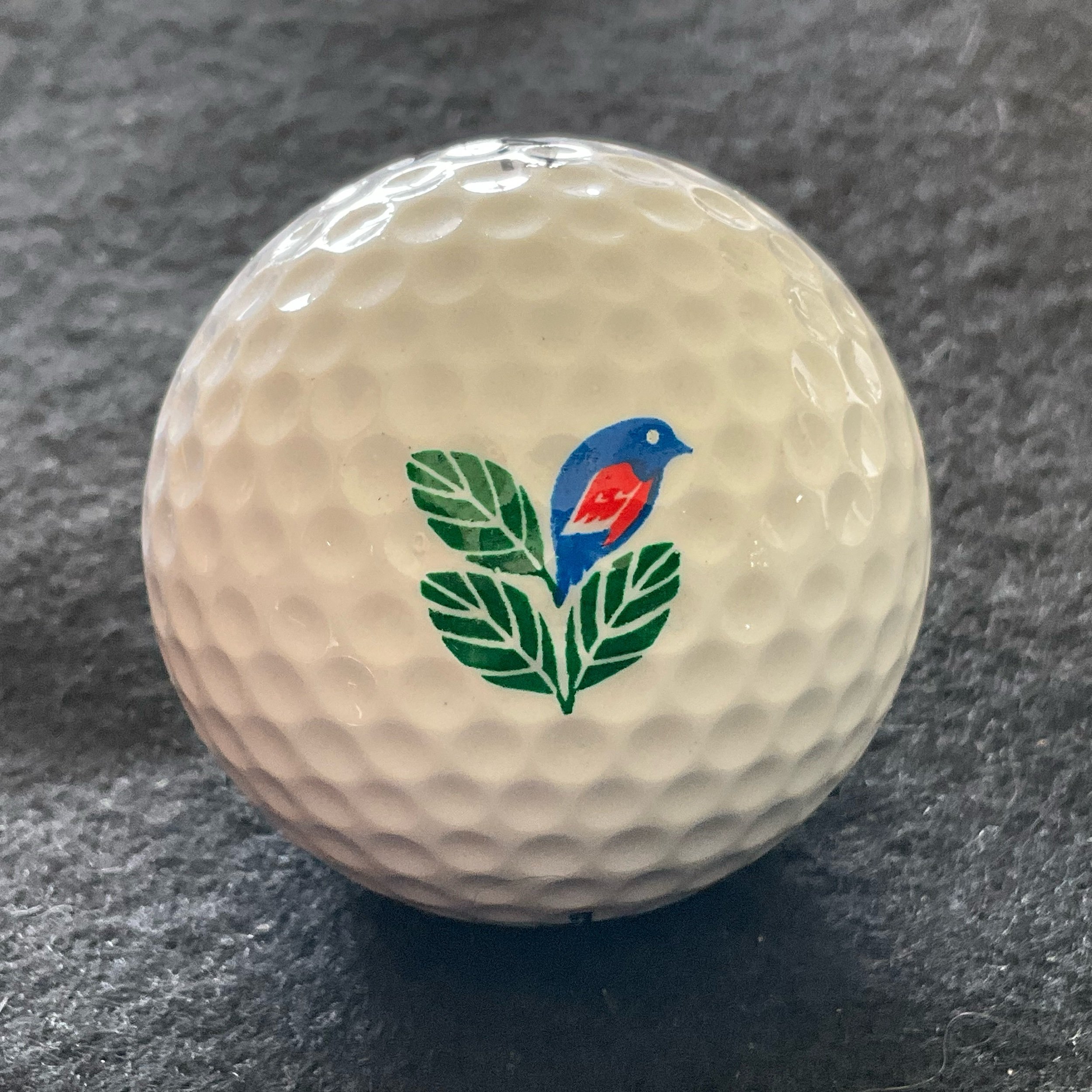 Colorado - Country Club of Colorado