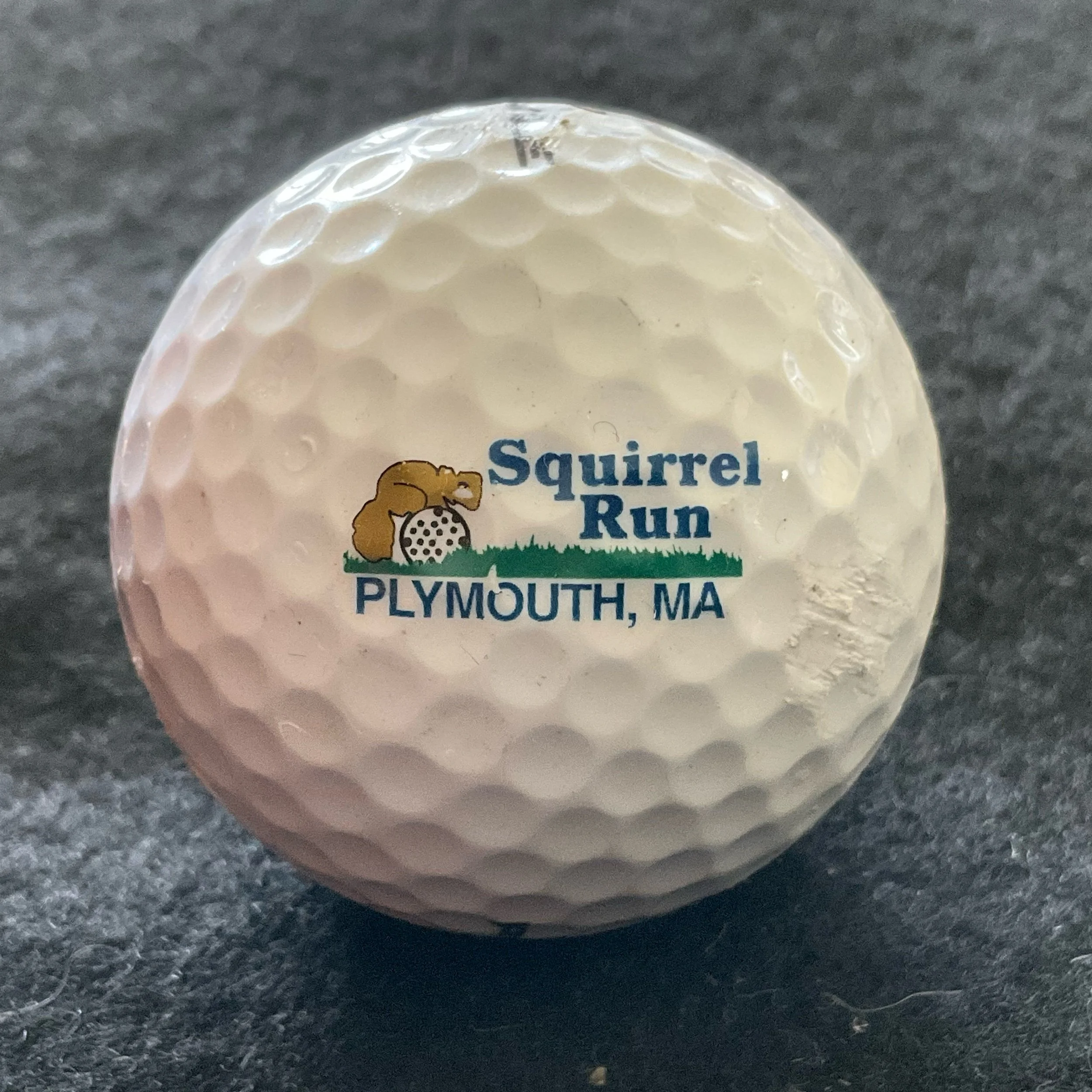 Squirrel Run Country Club