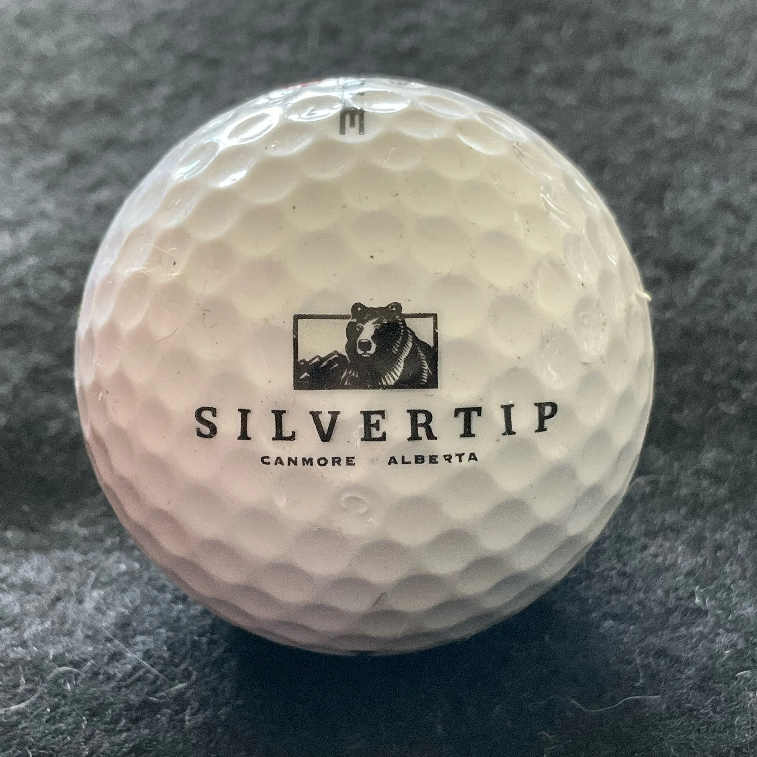 Silvertip Golf Club