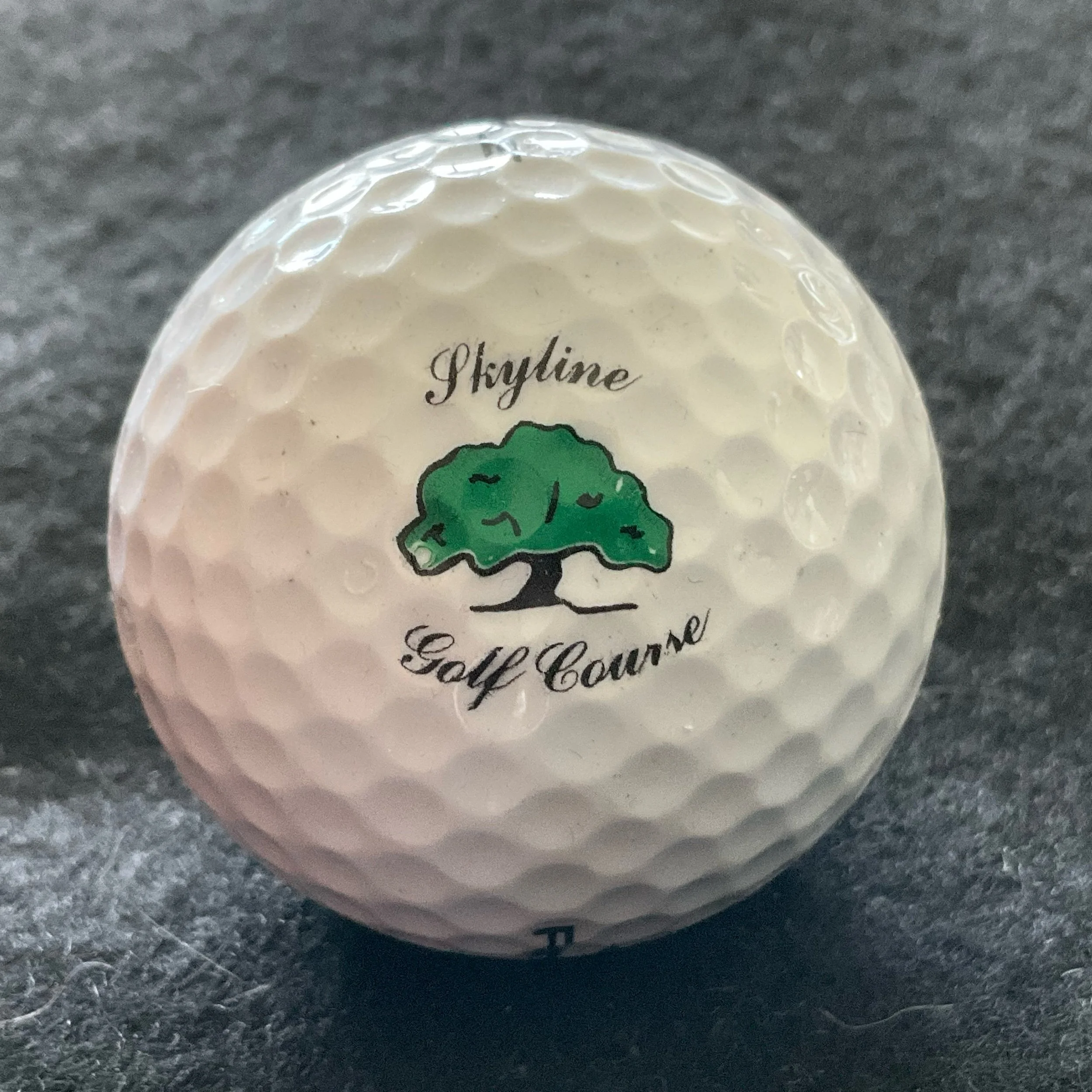 Skyline Golf Course