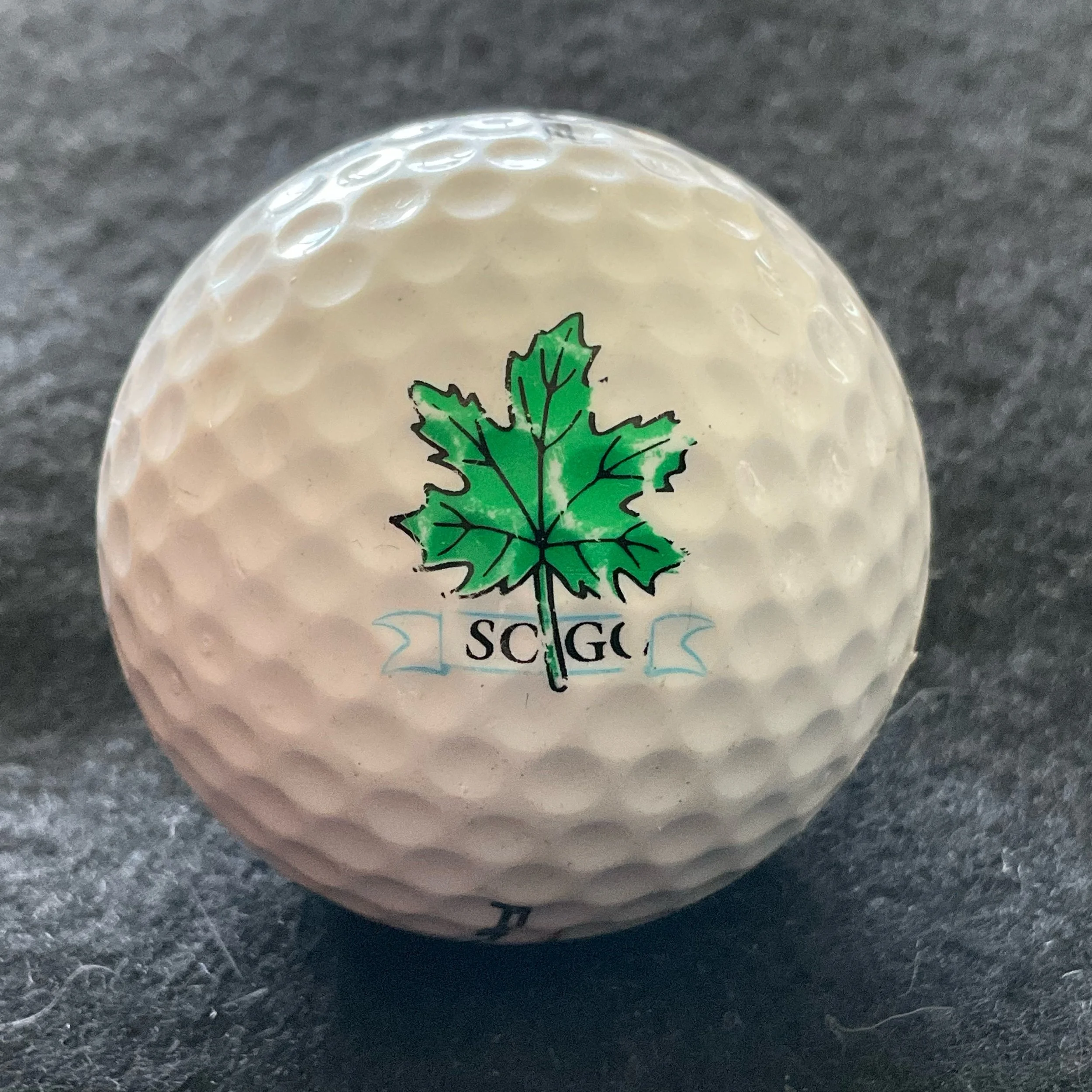 Sycamore Creek Golf Club
