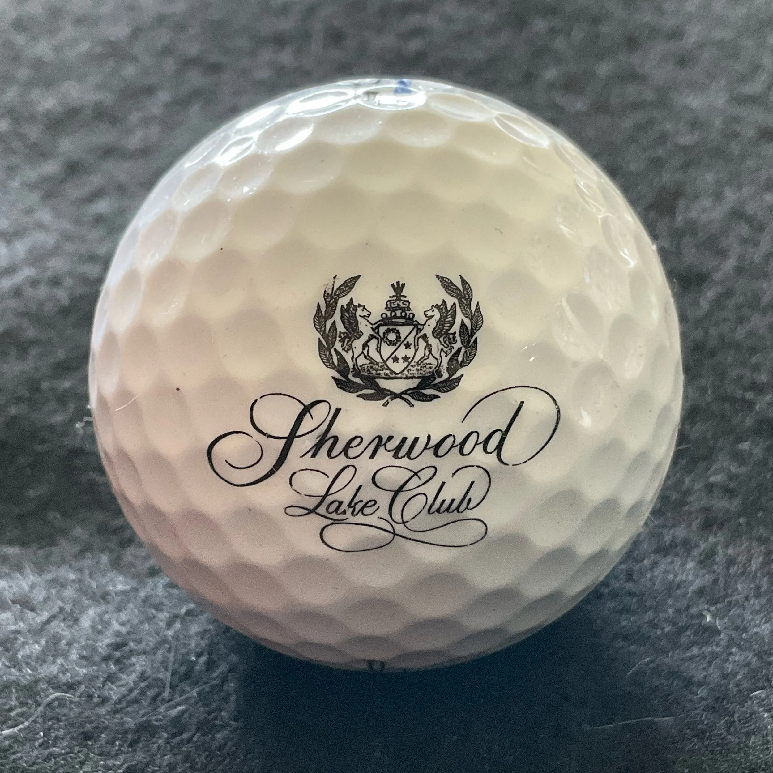 Sherwood Lake Club