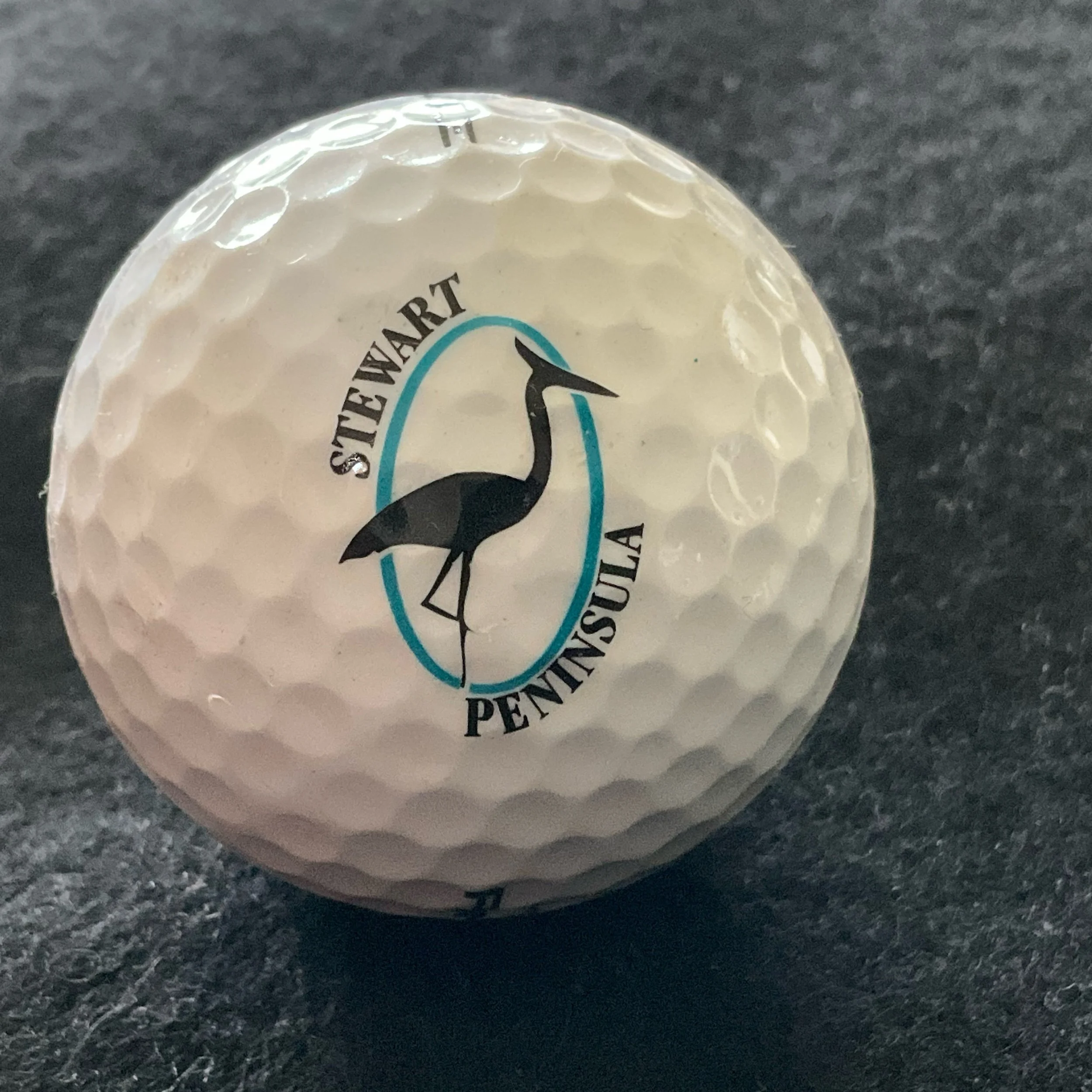 Stewart Peninsula Golf Course
