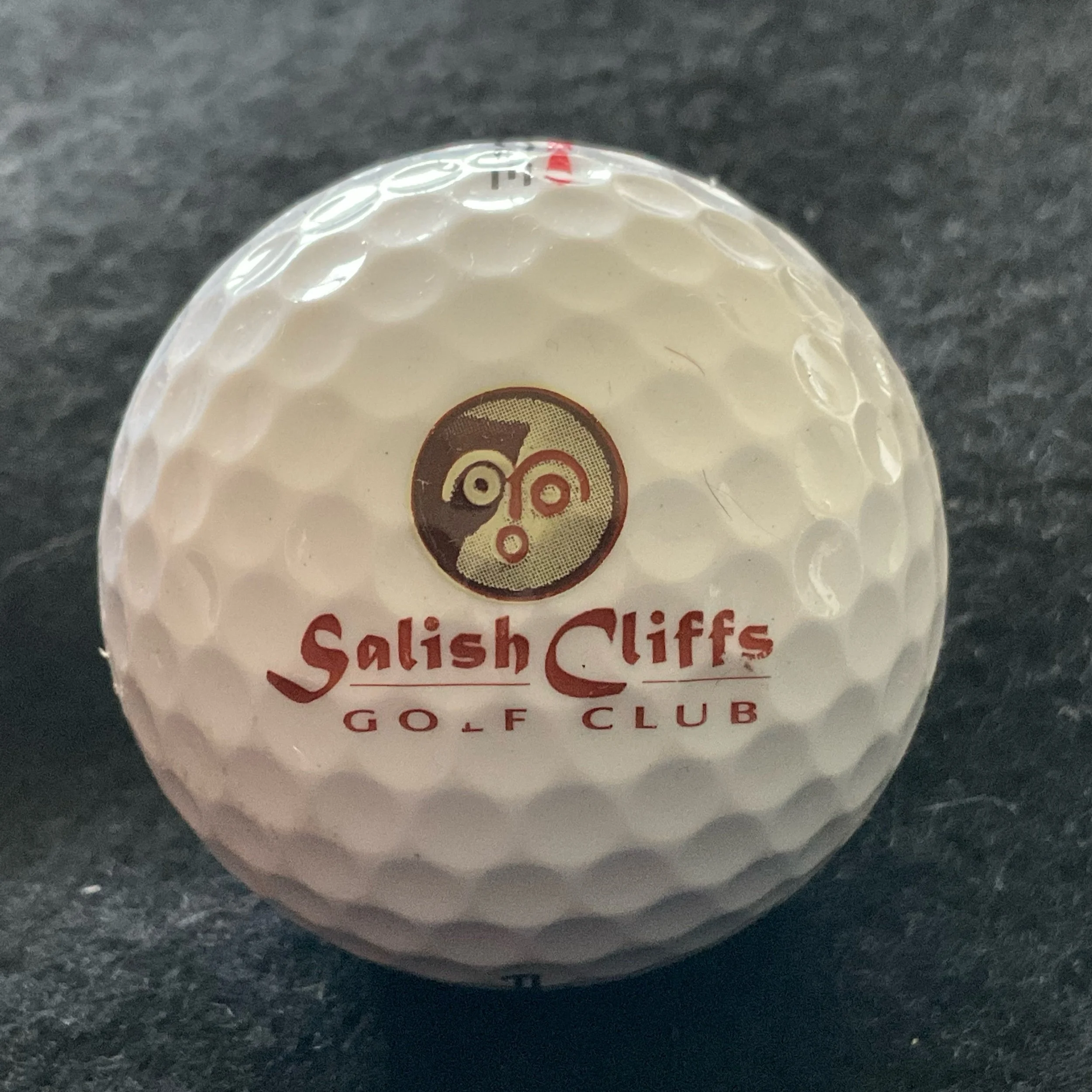 Salish Cliffs Golf Club