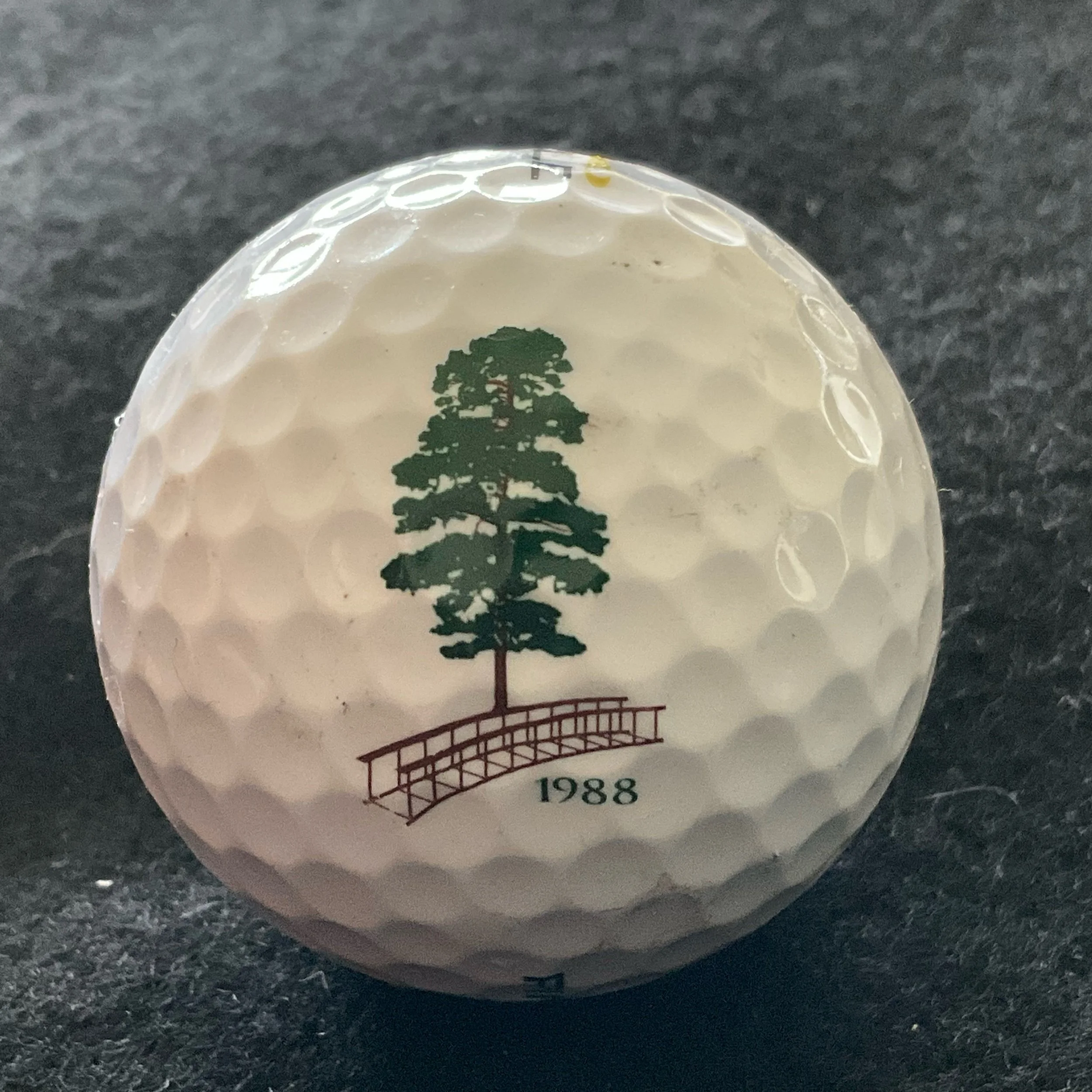 Stone Harbor Golf Club