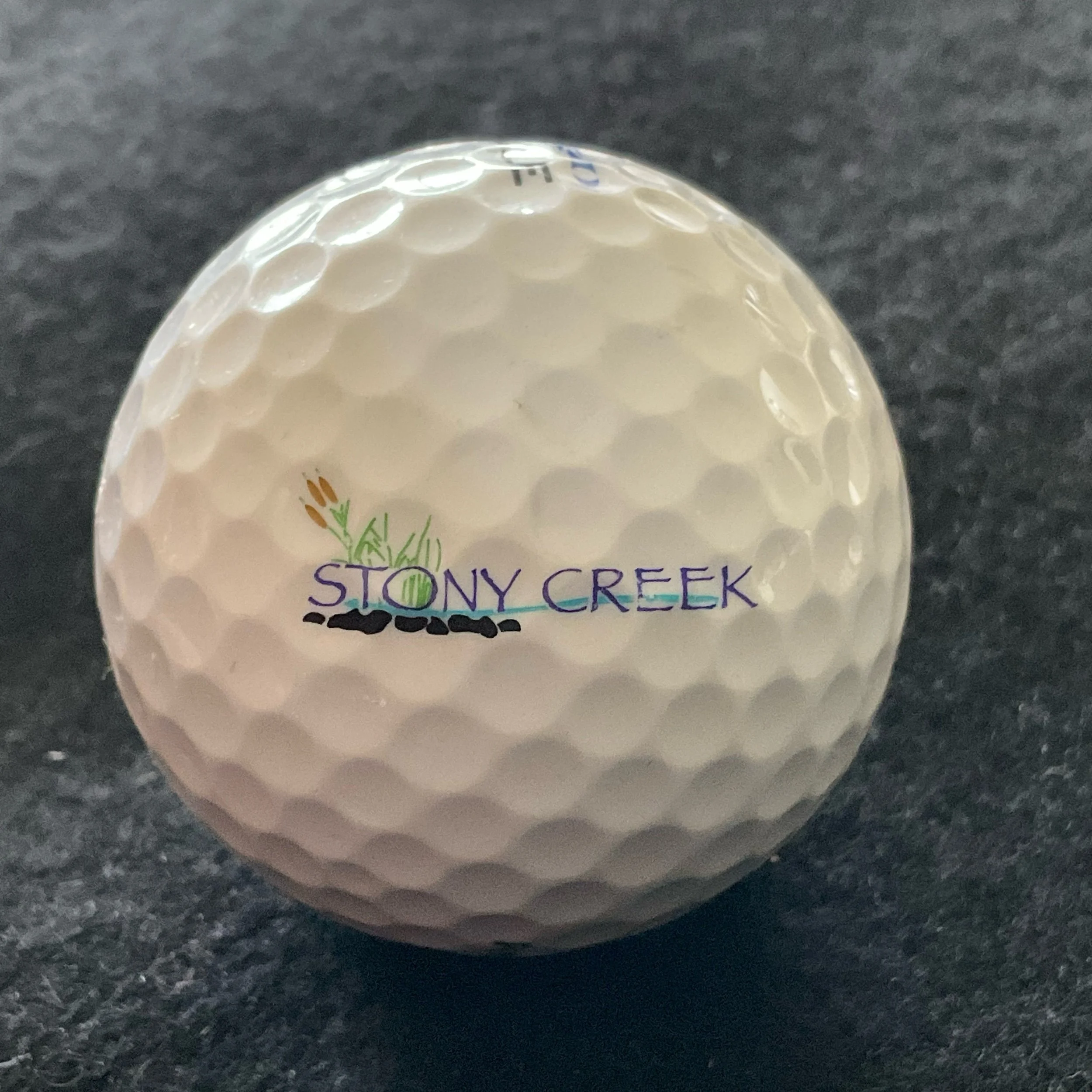Stony Creek Golf Course