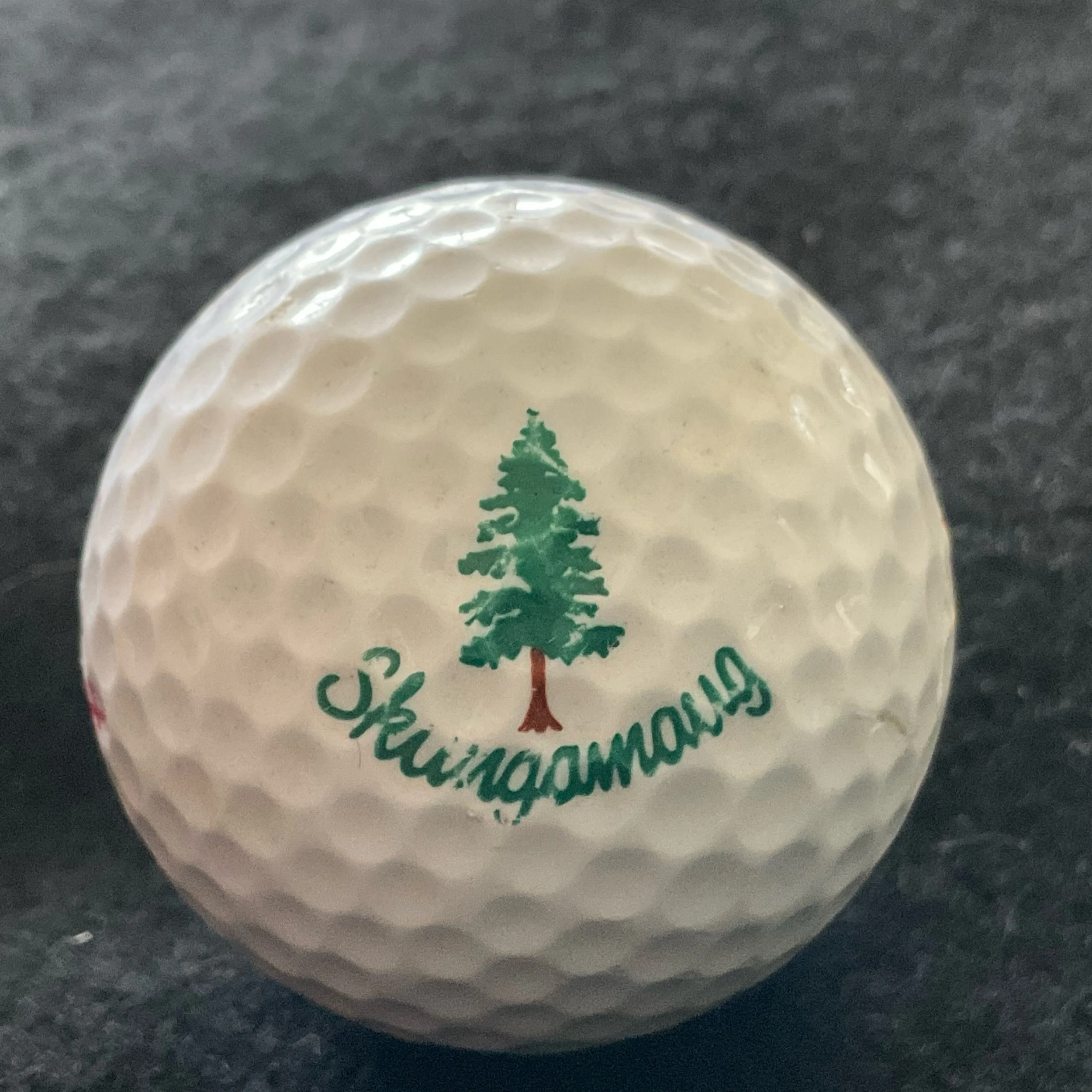 Skungamaug River Golf Course