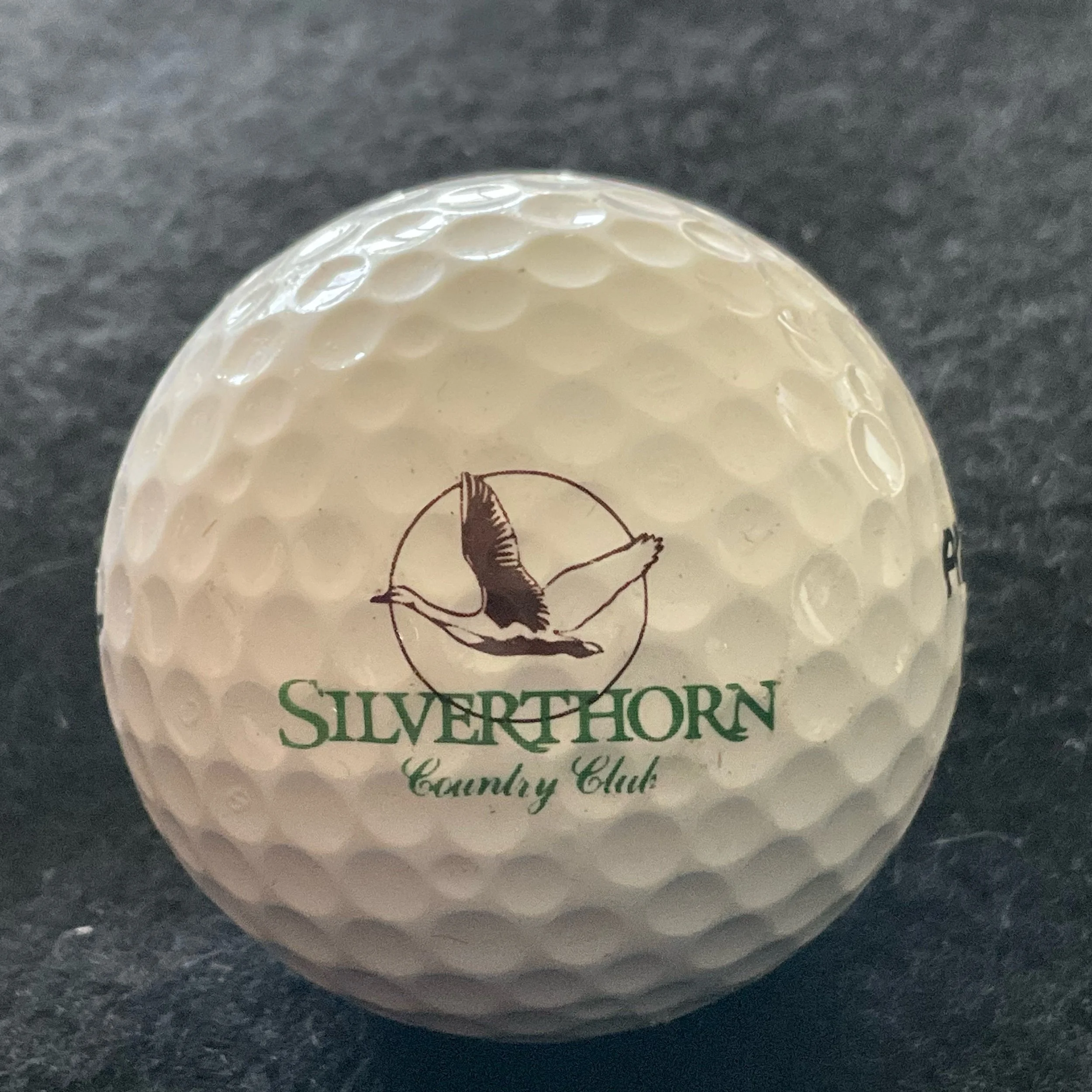 Silverthorn Country Club