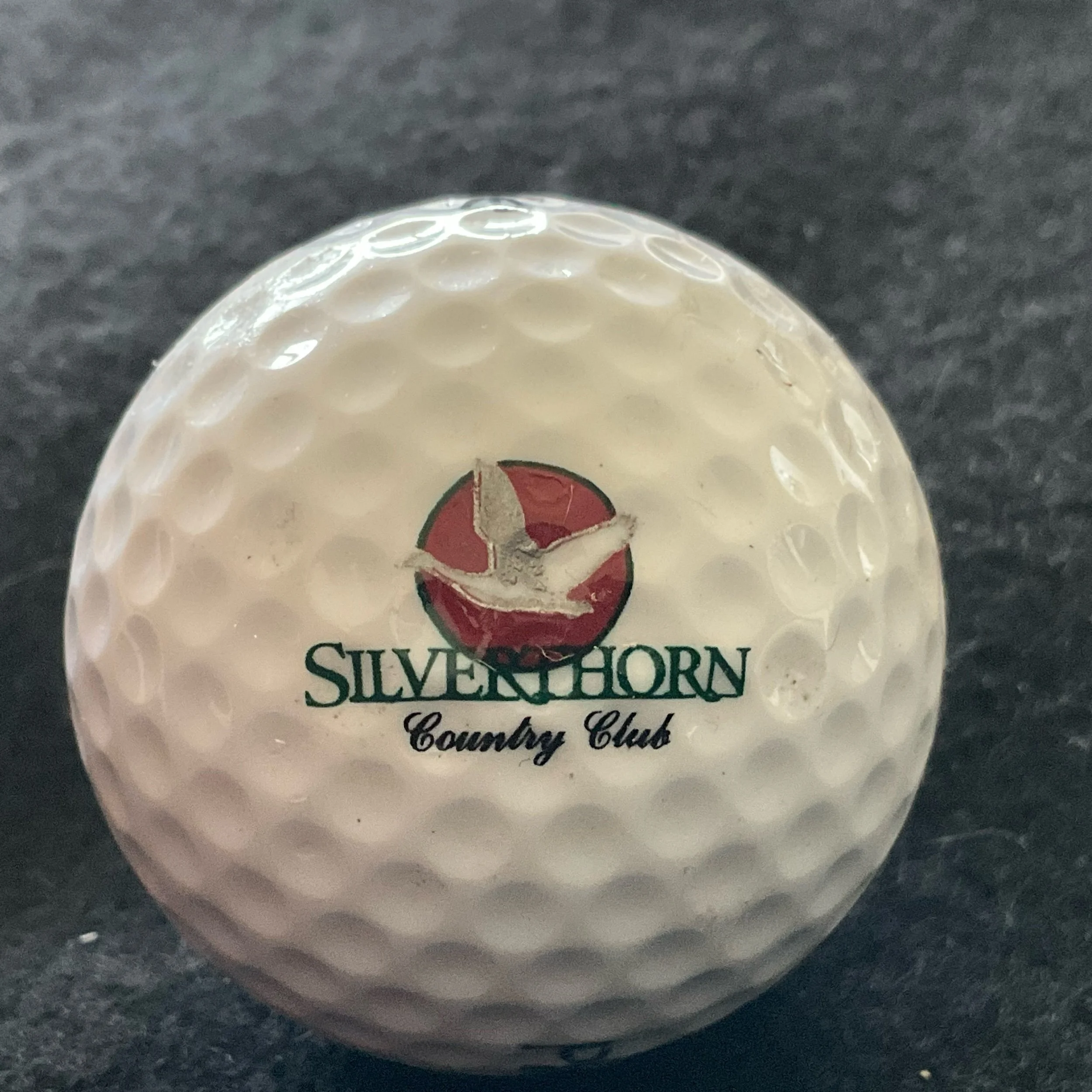 Silverthorn Country Club